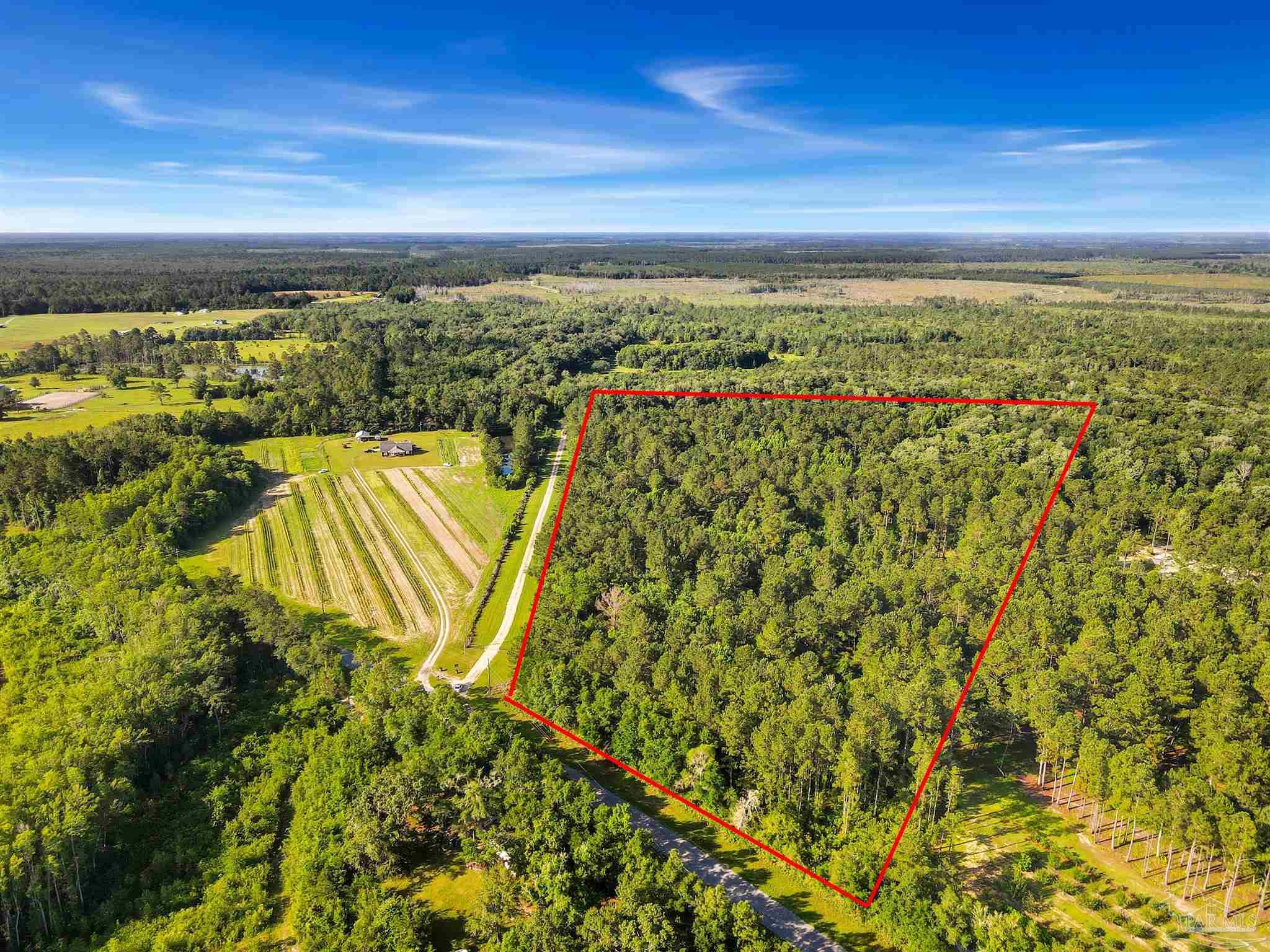 381 County Road Wewahitchka, FL 32465 - Photo 2 of 4