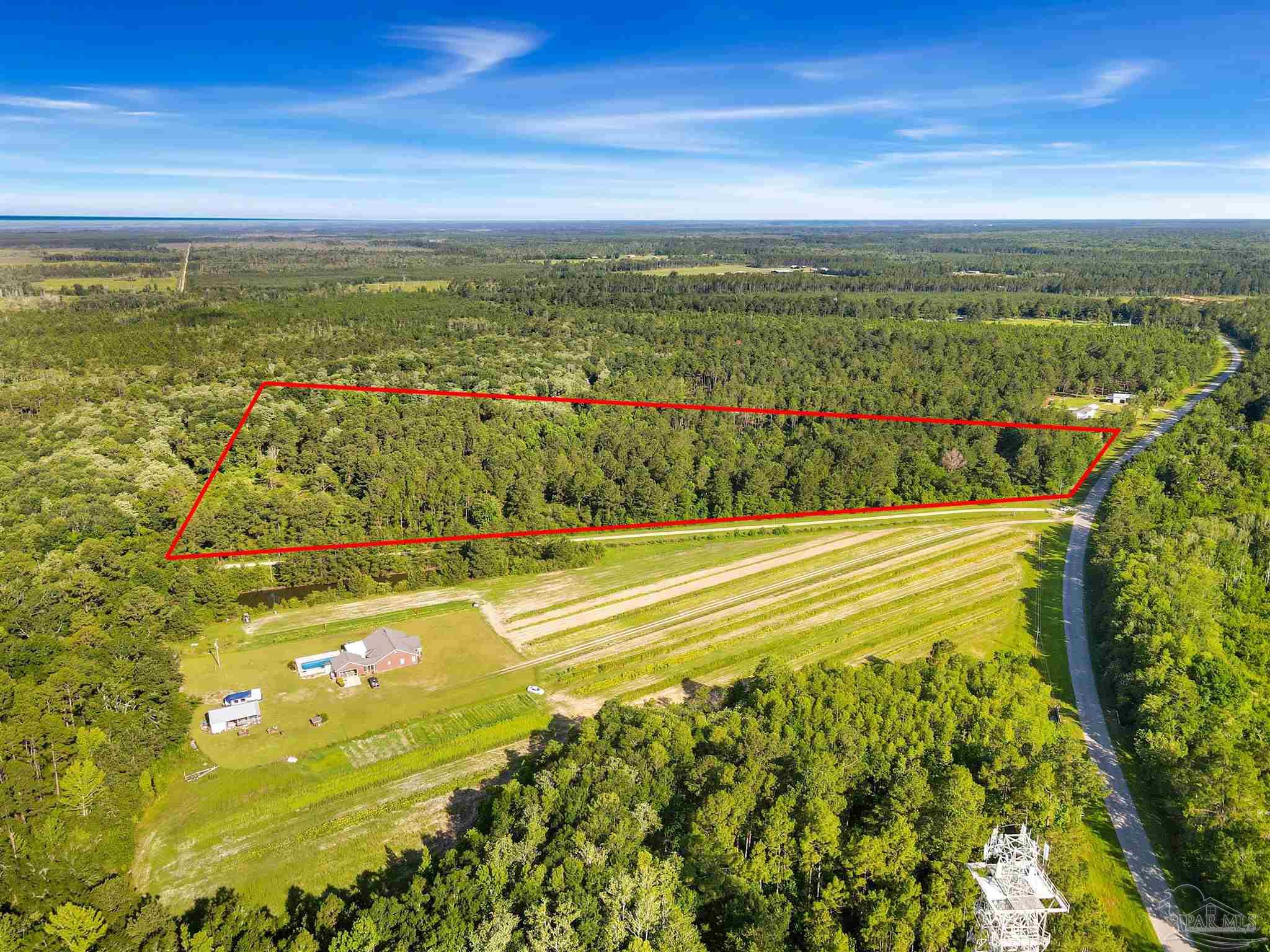 381 County Road Wewahitchka, FL 32465 - Photo 3 of 4