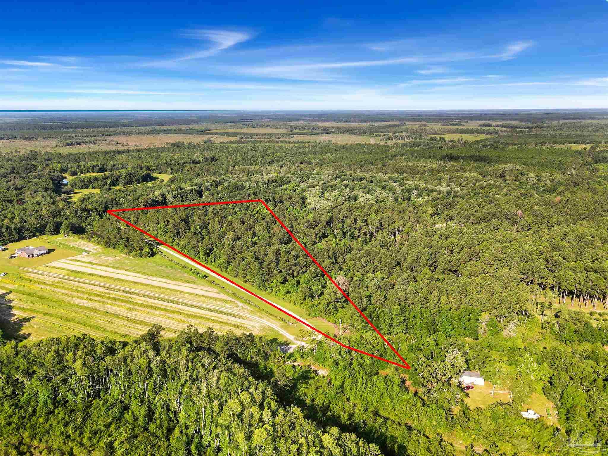 381 County Road Wewahitchka, FL 32465 - Photo 4 of 4