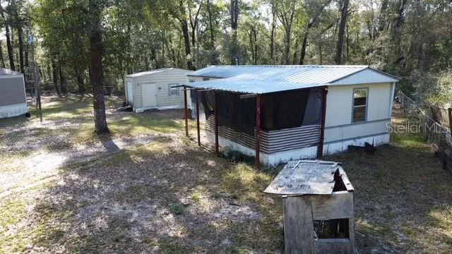 a view of a park that has a large tree