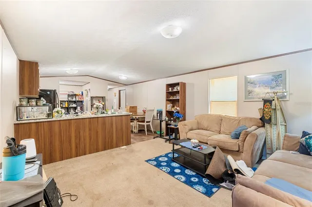 a view of road with large trees