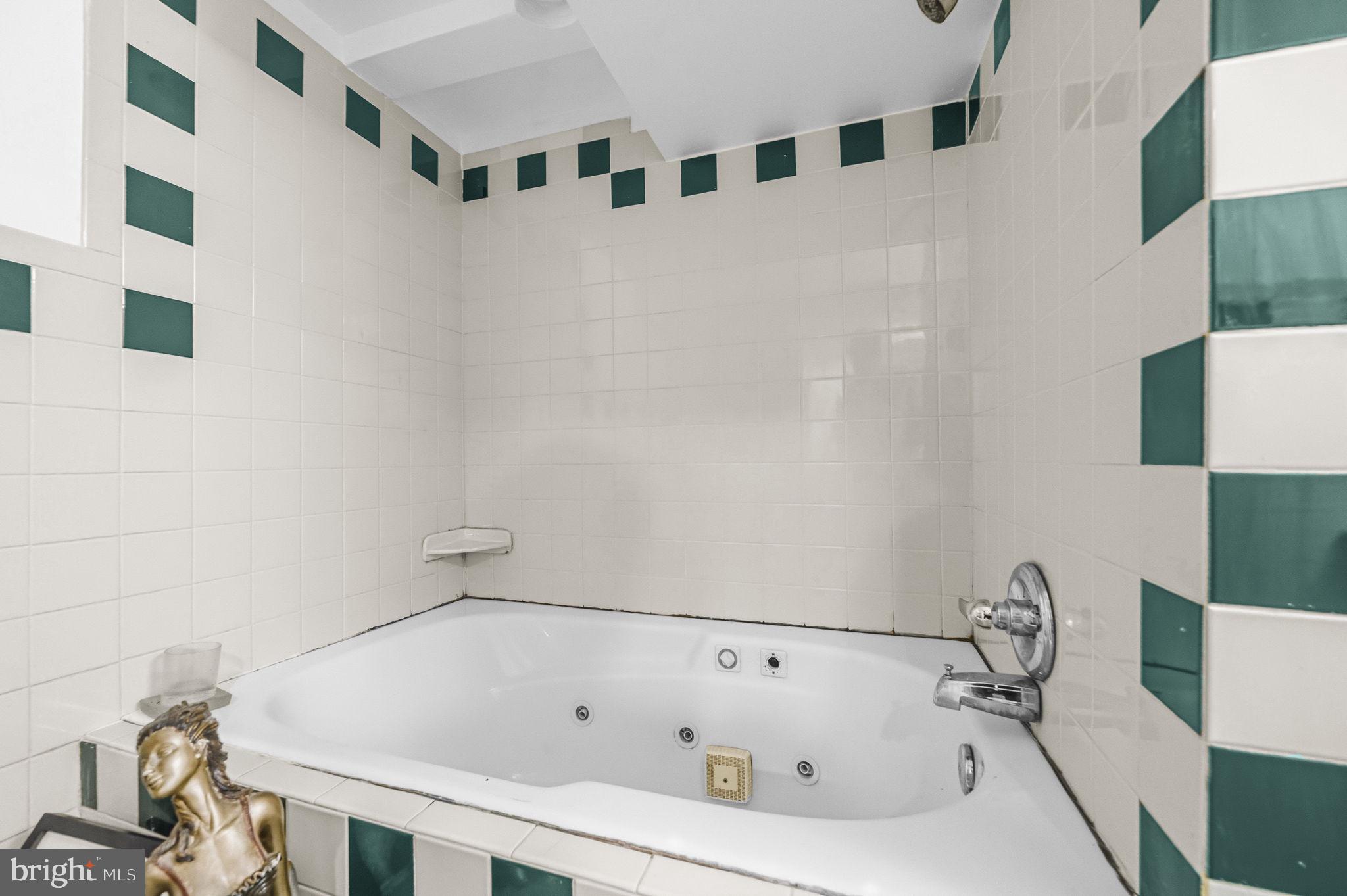1824 3rd Street Northeast Washington, DC 20002 - Photo 26 of 30 Relaxation Oasis with Elegant Tiles