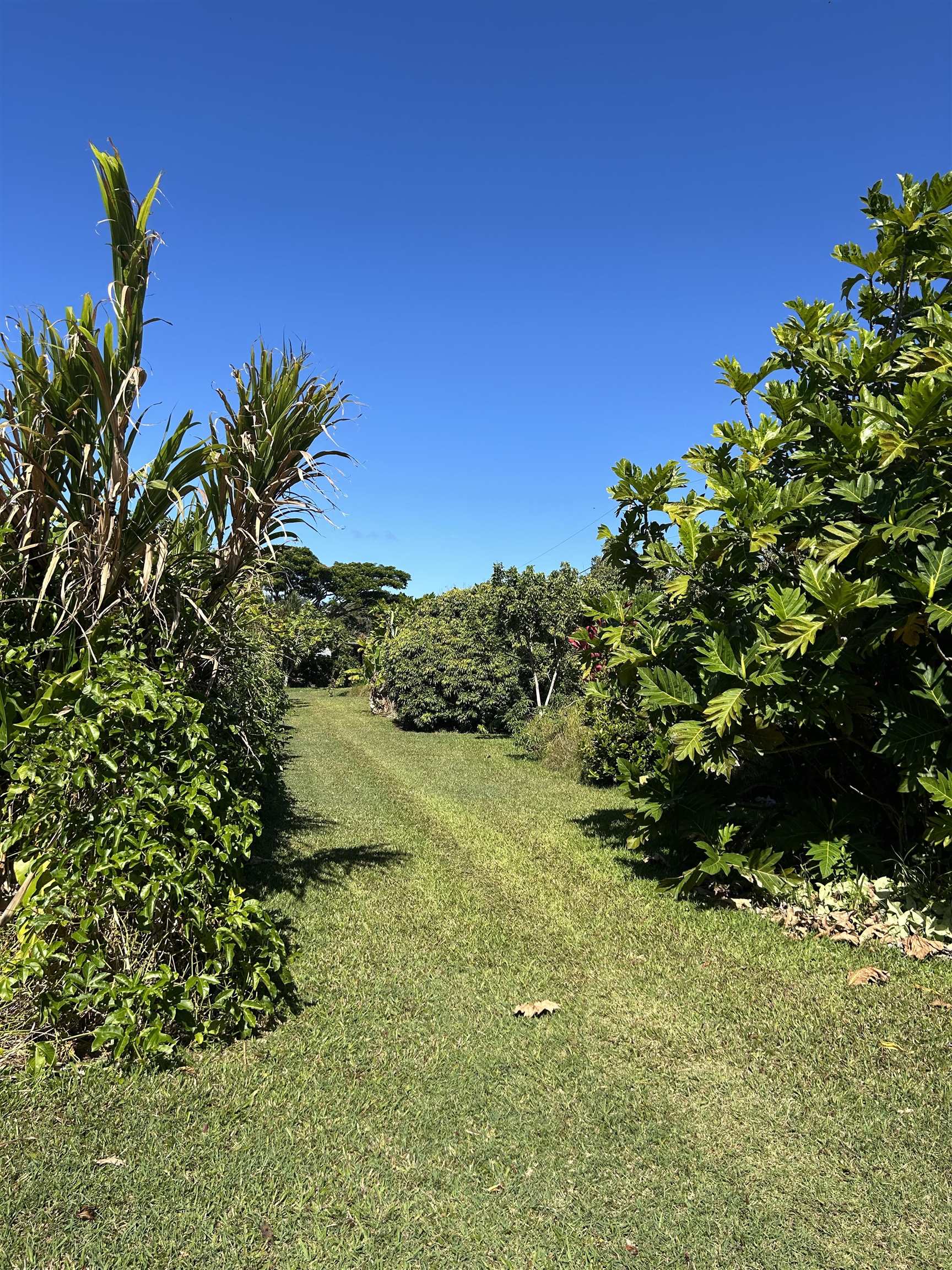 1220 West Kuiaha Road Haiku, HI 96708 - Photo 37 of 48 Gallery Image 37
