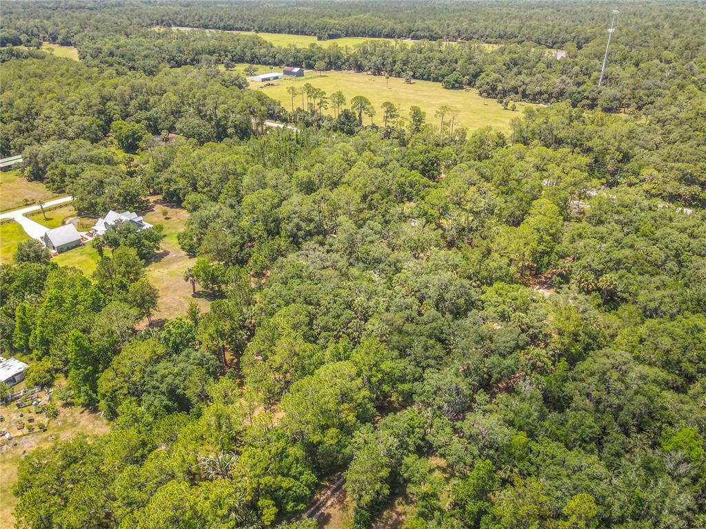 1395 Maytown Road Osteen, FL 32764 - Photo 61 of 65 a view of a yard with an outdoor space