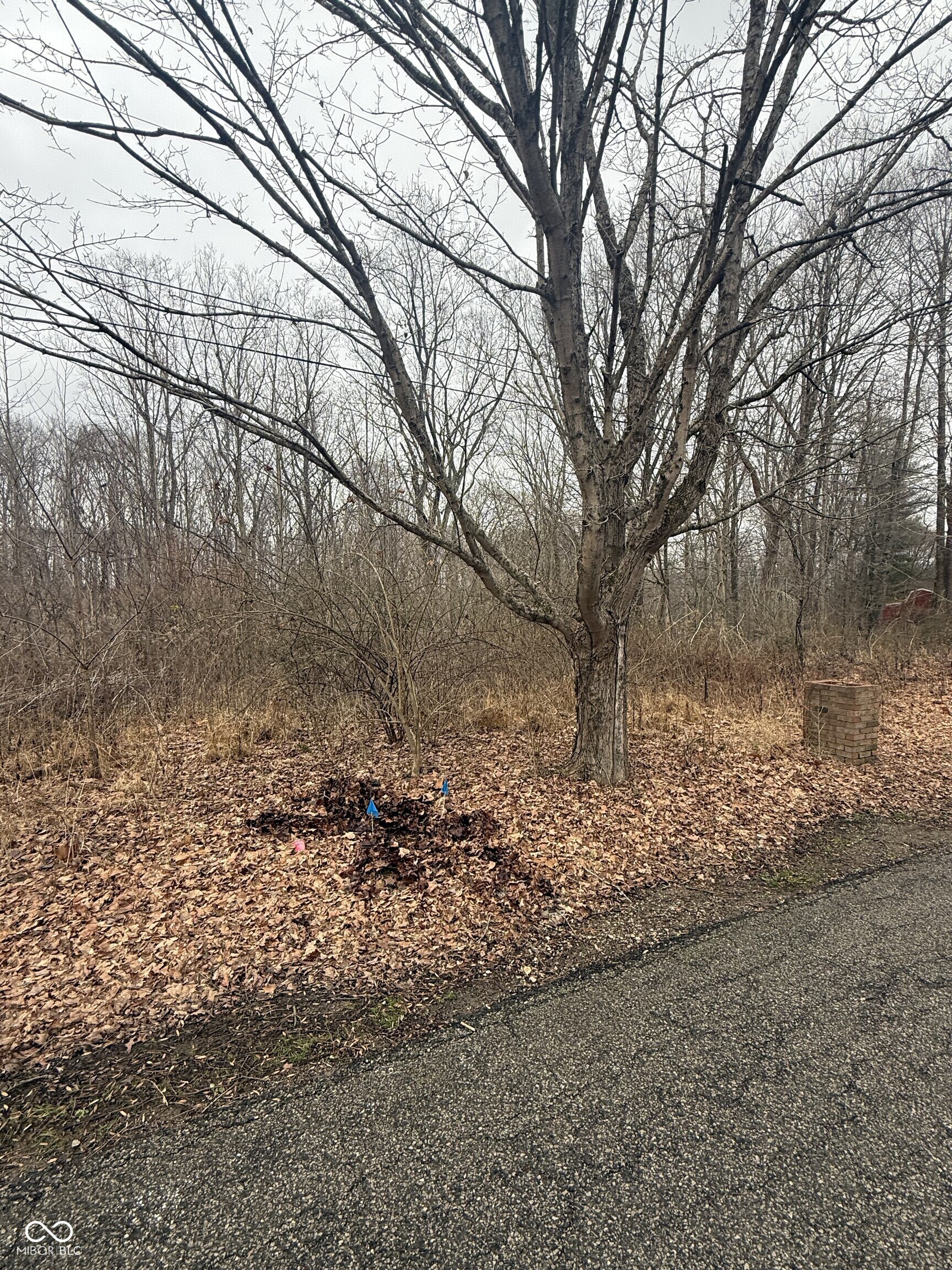 7728 North Lydy Road Bloomington, IN 47408 - Photo 2 of 5