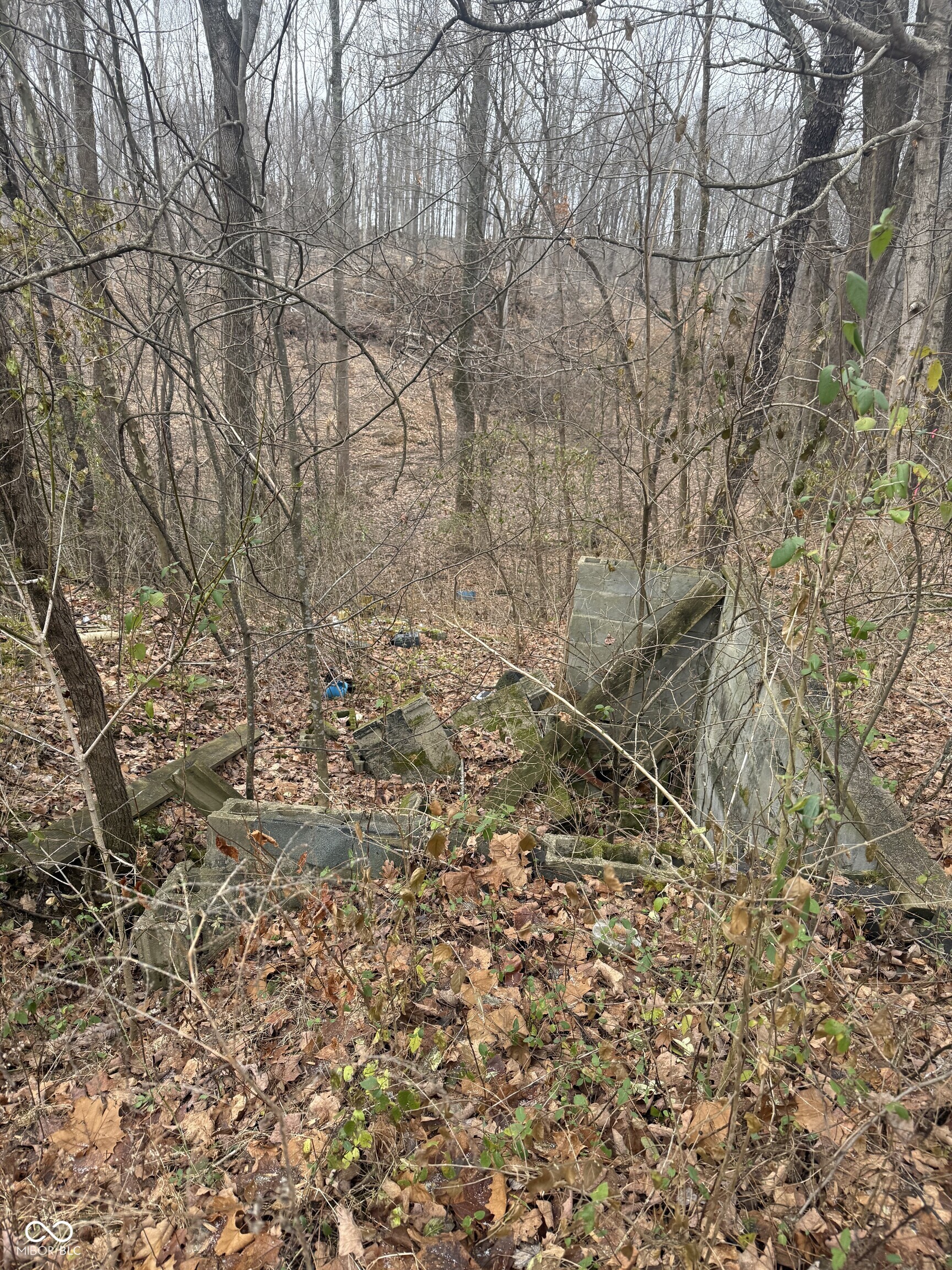 7728 North Lydy Road Bloomington, IN 47408 - Photo 4 of 5