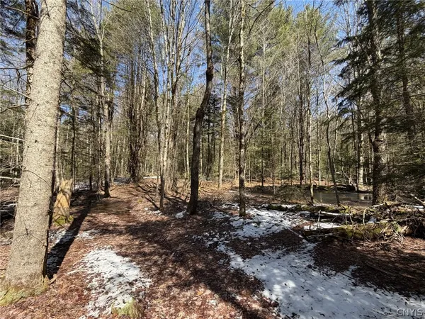 $79,000 | 534 Avery Road, Unit S, Stratford, NY 13470
