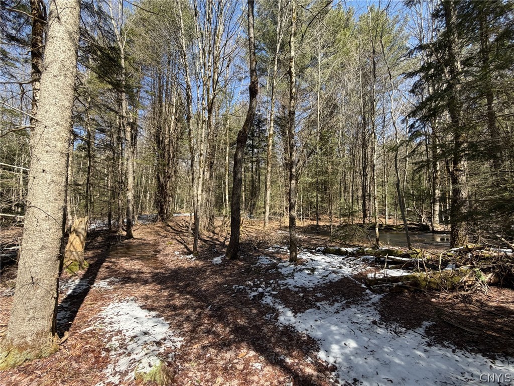 534 Avery Road, Unit S Stratford, NY 13470 - Photo 5 of 6