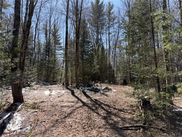$79,000 | 534 Avery Road, Unit S, Stratford, NY 13470