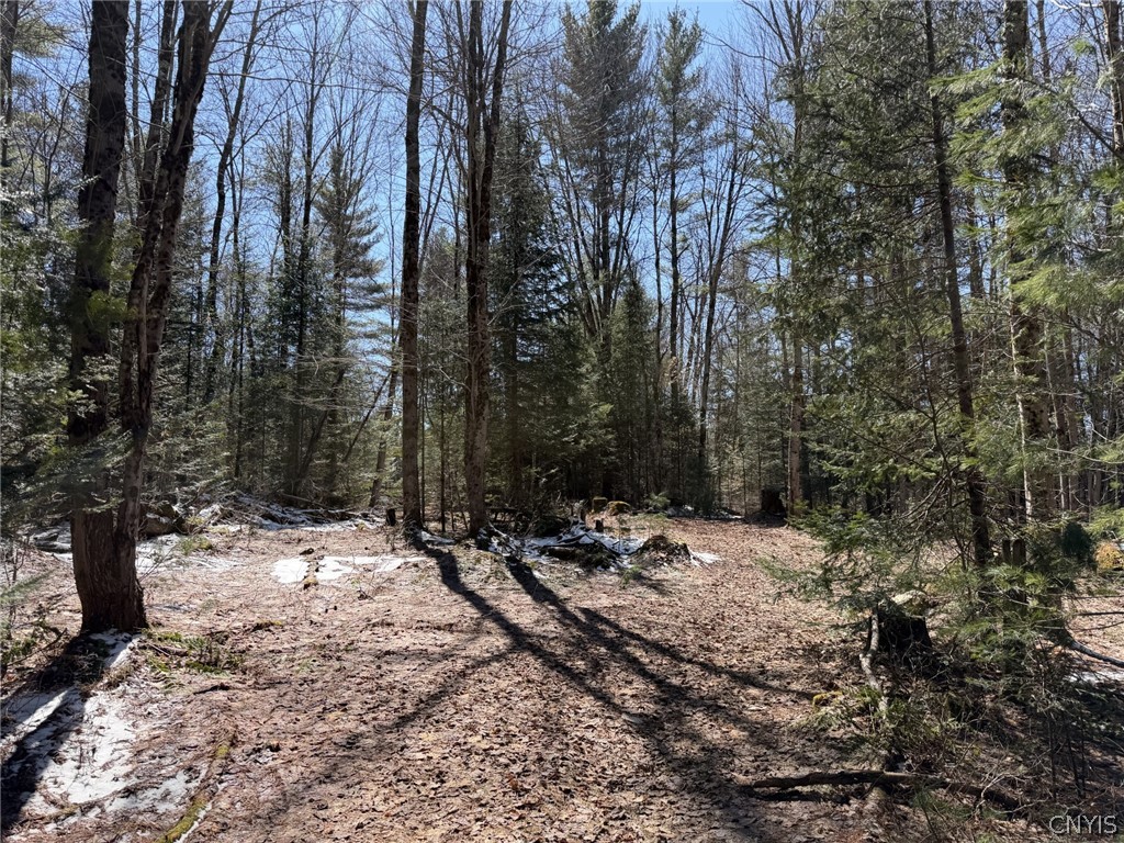 534 Avery Road, Unit S Stratford, NY 13470 - Photo 6 of 6