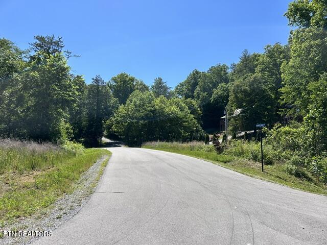 325 Beckett Ridge Road Townsend, TN 37882 - Photo 3 of 11 Beckett Ridge Rd