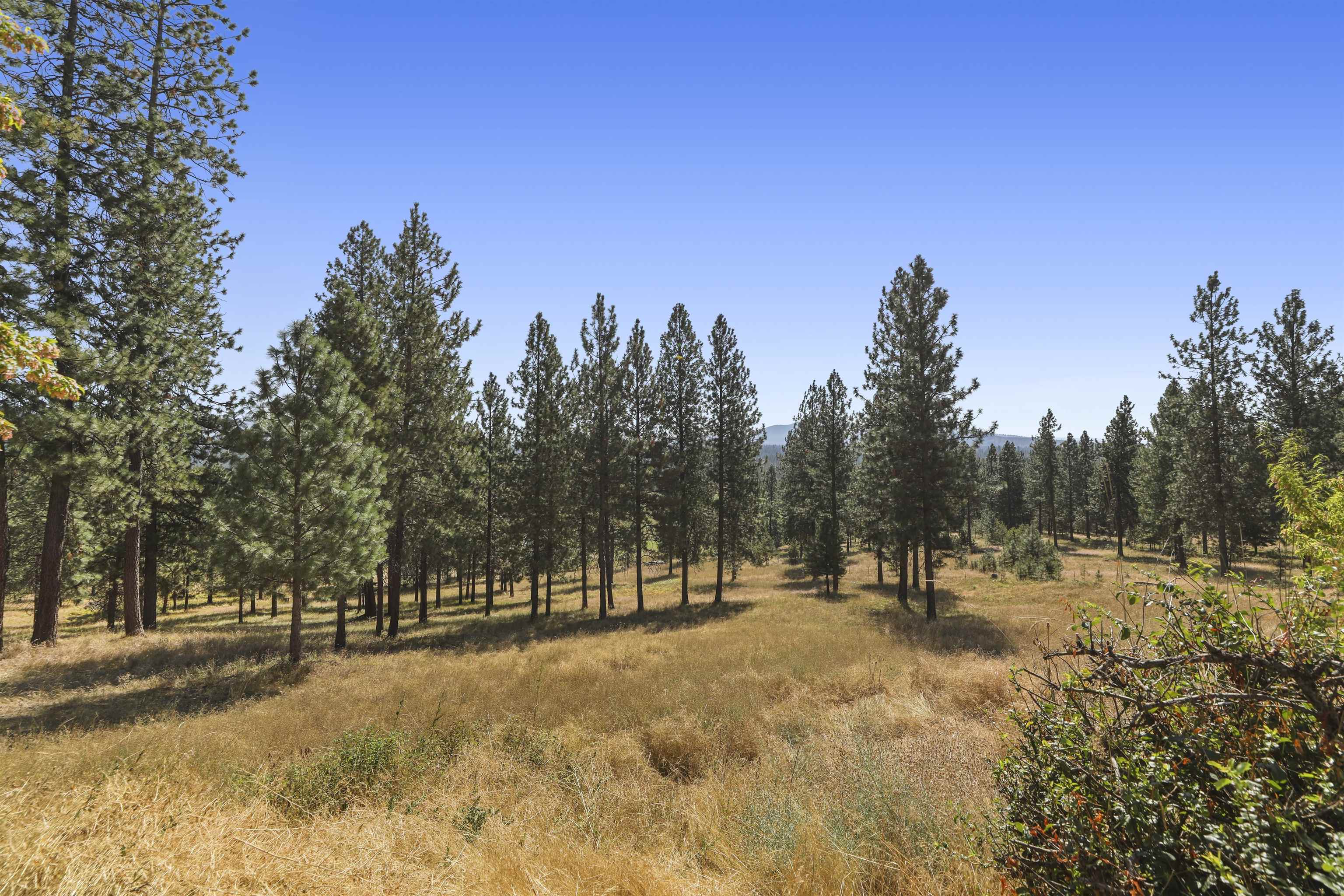 14316 East Oregon Road, Unit 49112 9075 Elk, WA 99009 - Photo 23 of 48