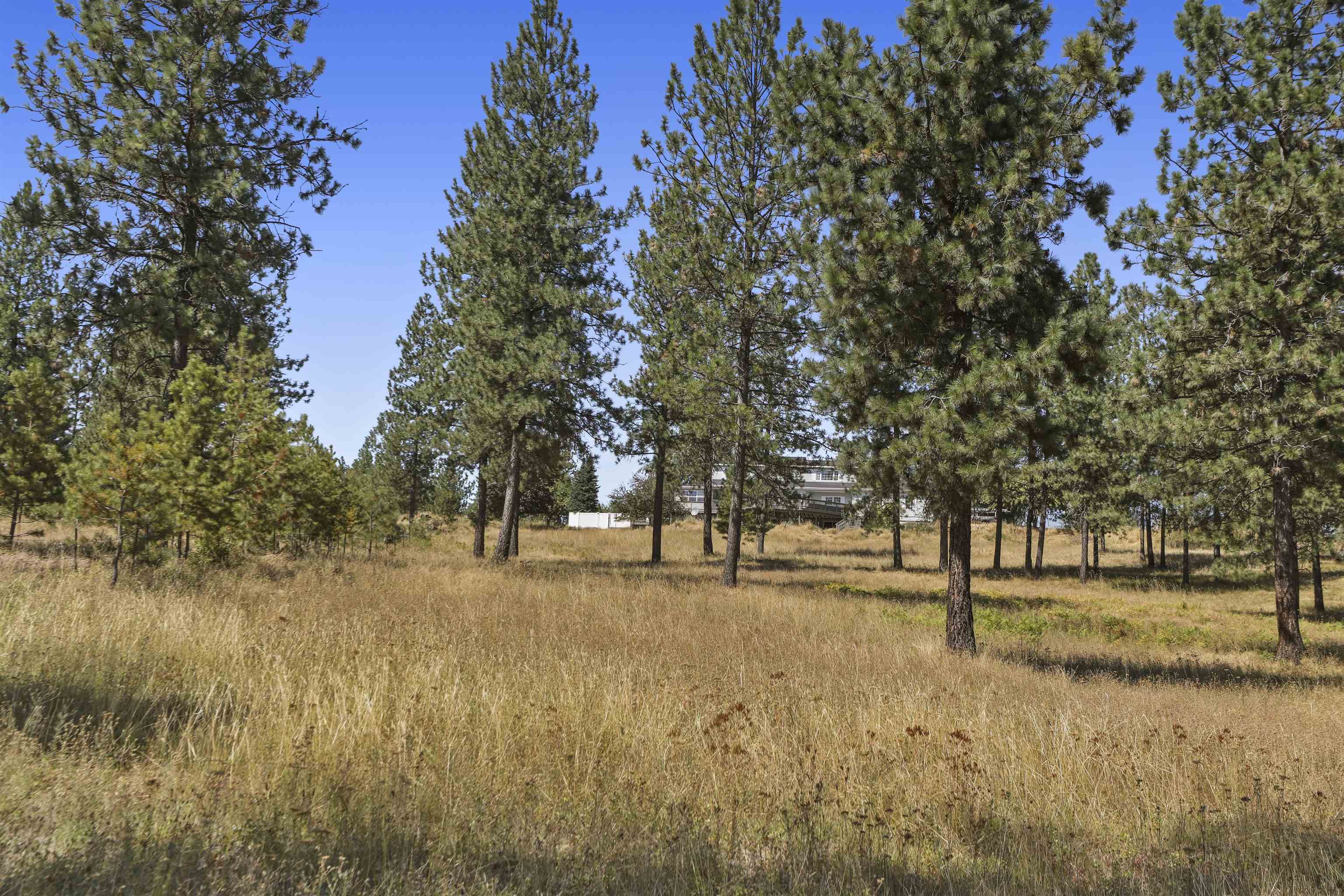 14316 East Oregon Road, Unit 49112 9075 Elk, WA 99009 - Photo 47 of 48