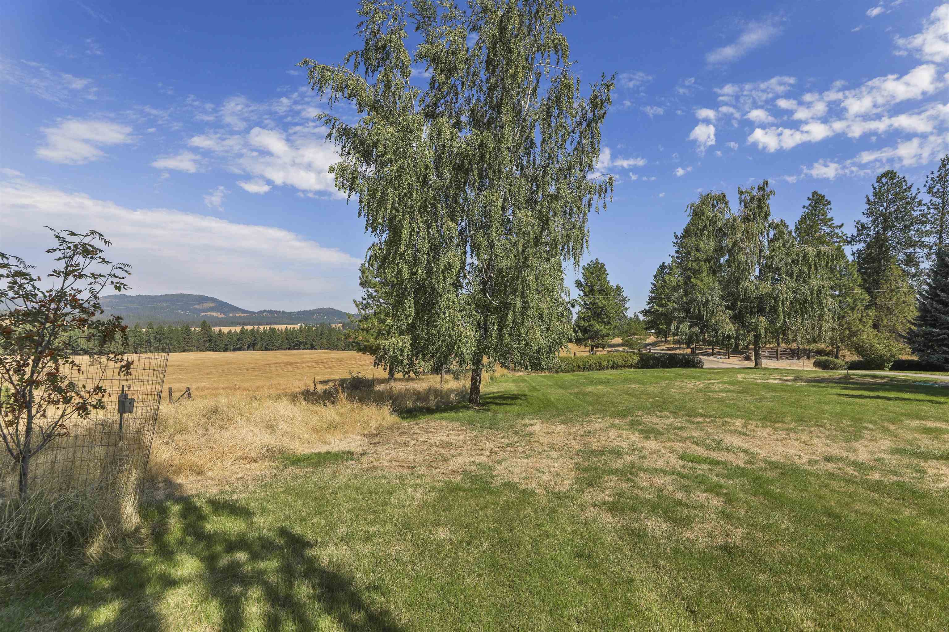 14316 East Oregon Road, Unit 49112 9075 Elk, WA 99009 - Photo 6 of 48