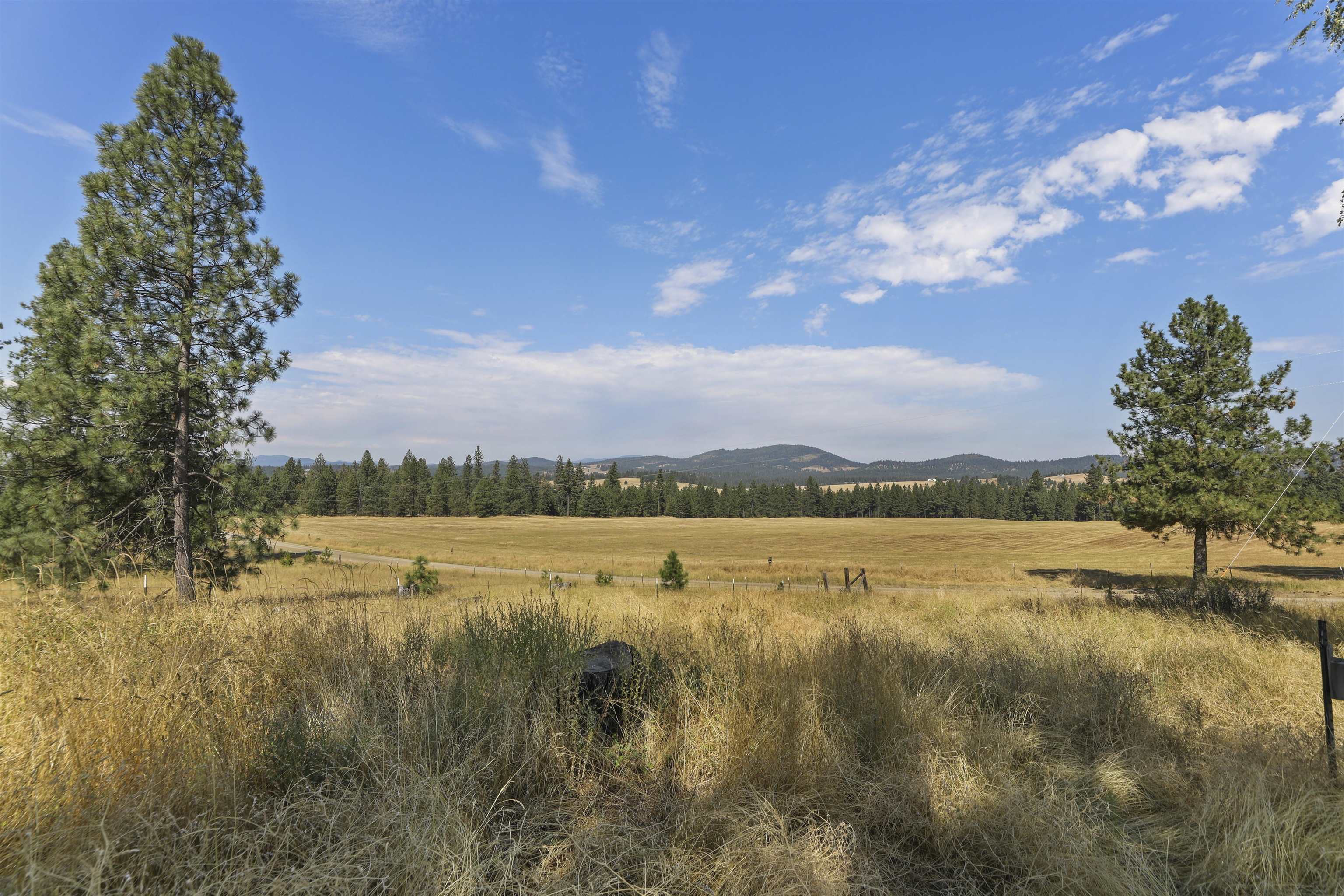 14316 East Oregon Road, Unit 49112 9075 Elk, WA 99009 - Photo 7 of 48