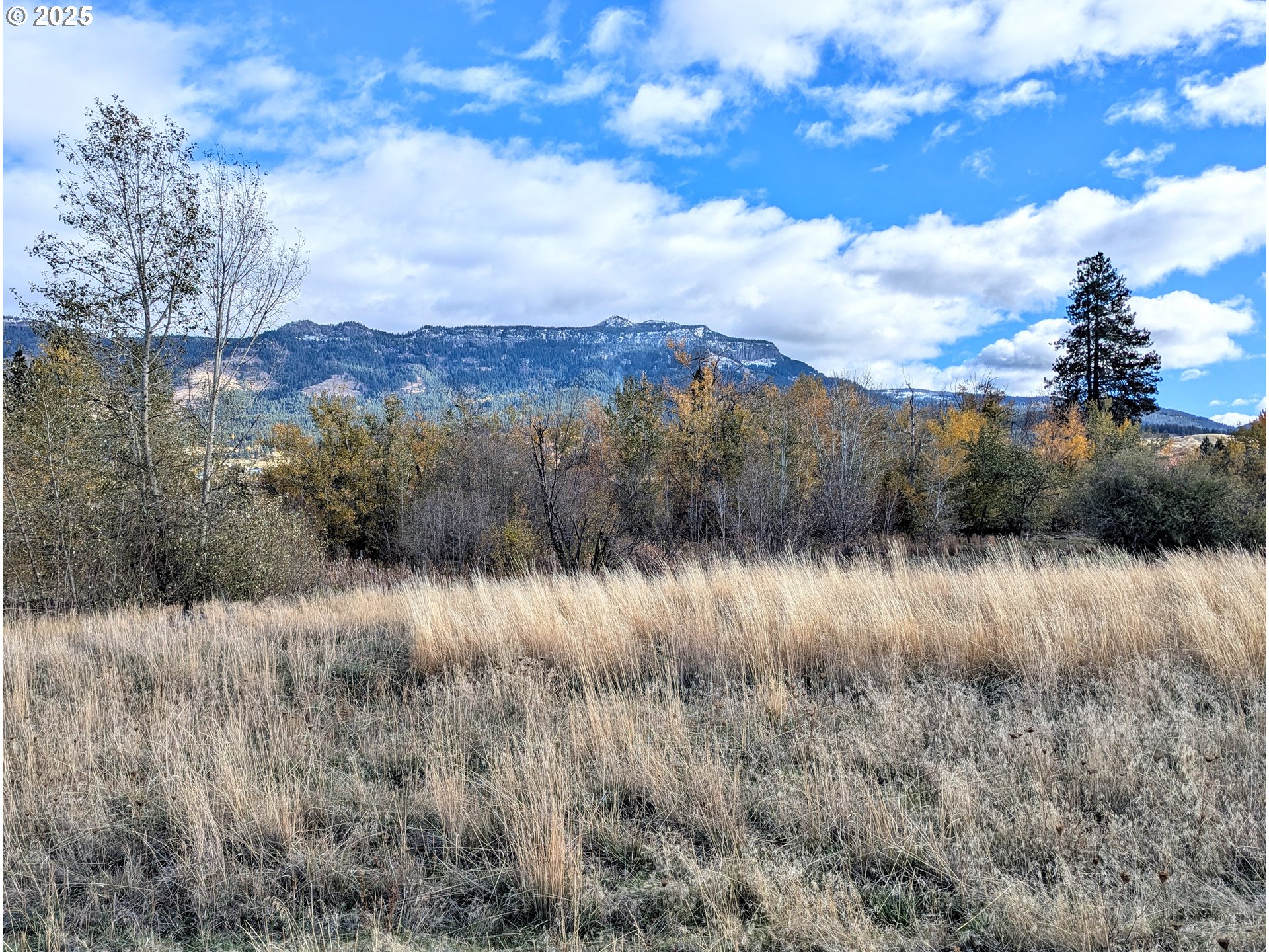 a view of sunset and yard