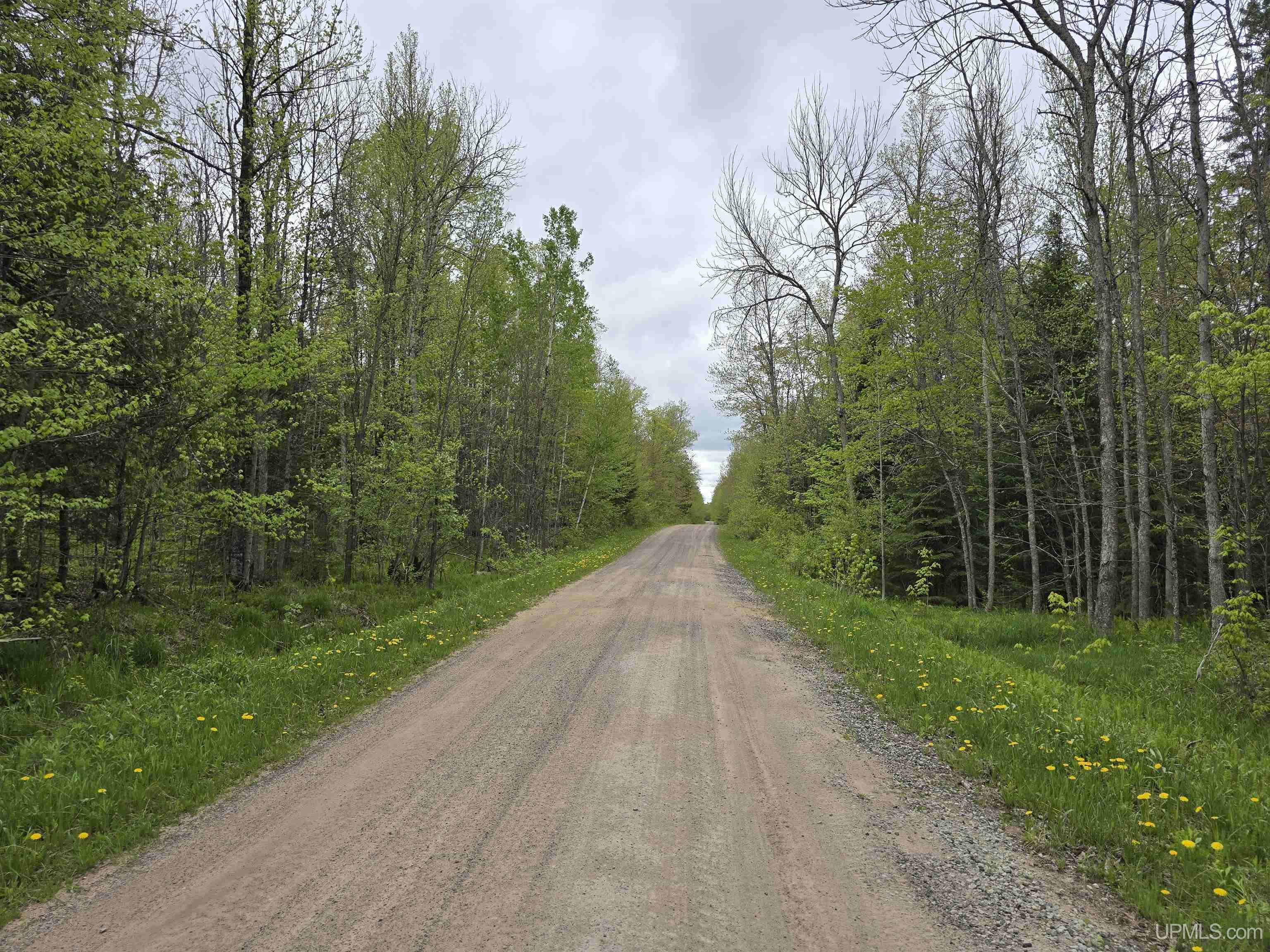 Lot 37 Yellow Road Pelkie, MI 49958 - Photo 2 of 34