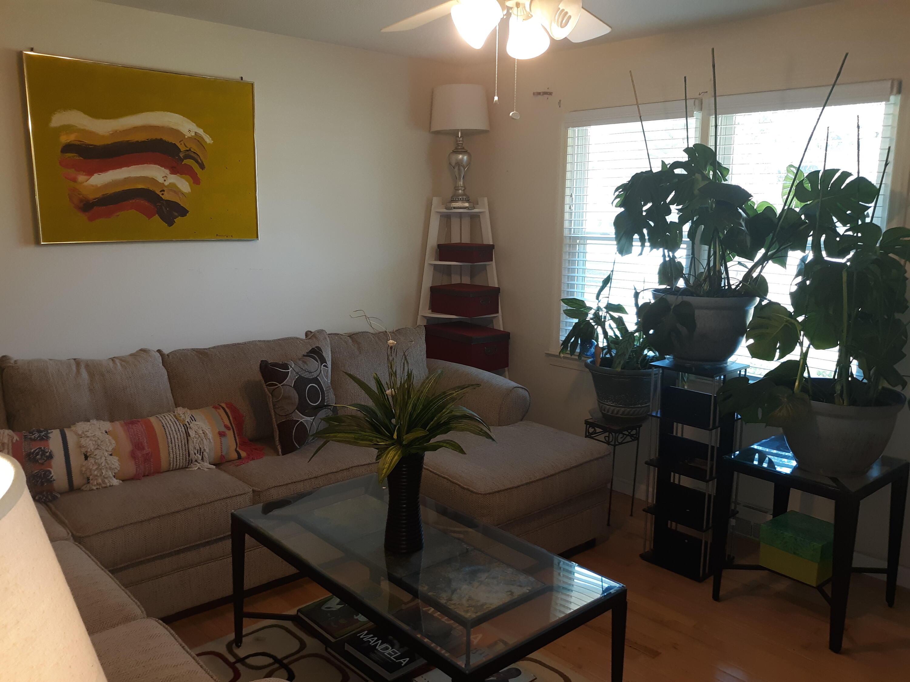 267 Chestnut Avenue Denmark, SC 29042 - Photo 27 of 34