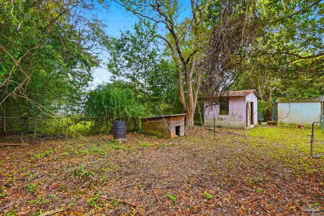 a backyard of a house with plants and large tree