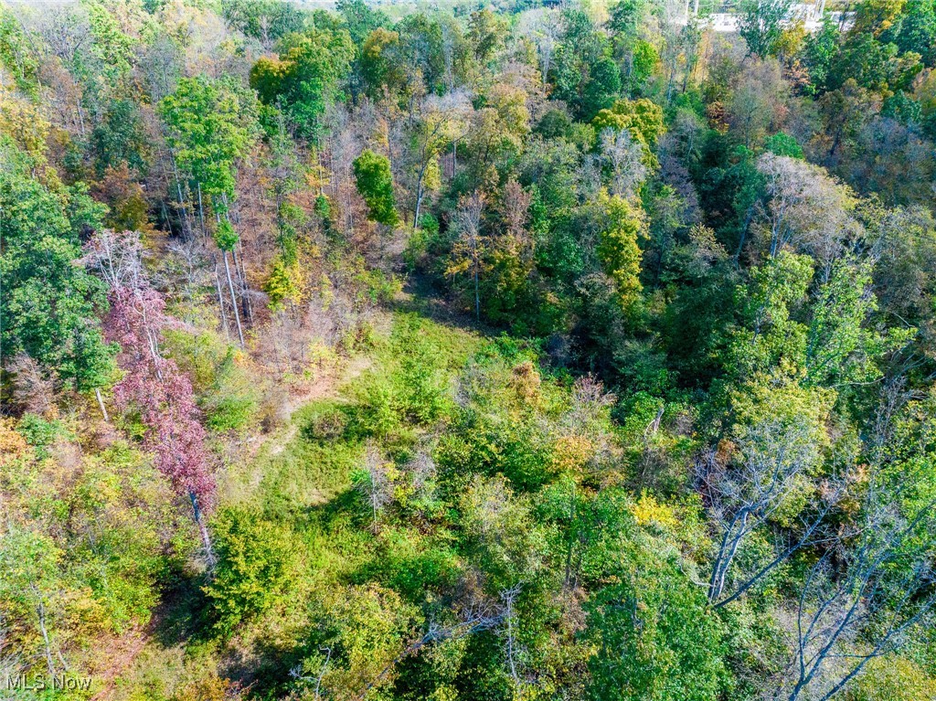 Clendening Lake Road Freeport, OH 43973 - Photo 37 of 41 Aerial view of property's location