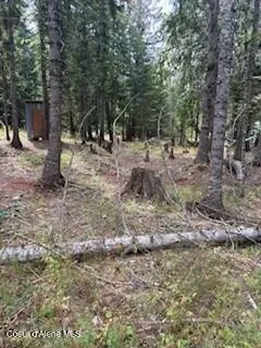$79,900 | 35 Dolly Vardon, Clark Fork, ID 83811