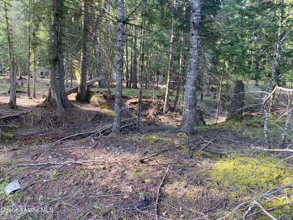 $79,900 | 35 Dolly Vardon, Clark Fork, ID 83811