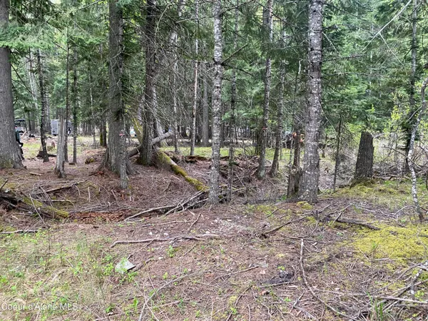 $79,900 | 35 Dolly Vardon, Clark Fork, ID 83811