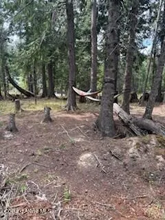 $79,900 | 35 Dolly Vardon, Clark Fork, ID 83811