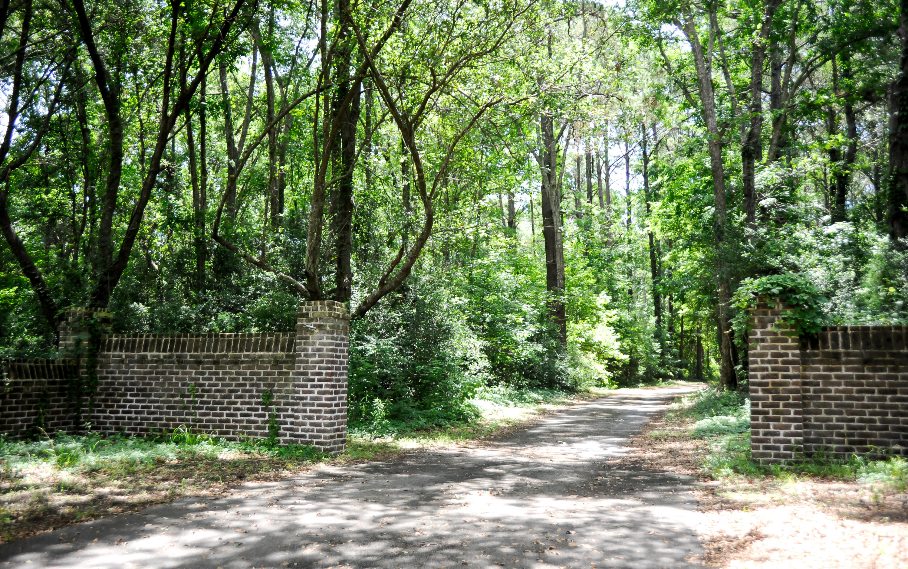 1408 Chandler Road, Unit LOT 1 Awendaw, SC 29429 - Photo 12 of 46 Beautiful Brick Entry Way