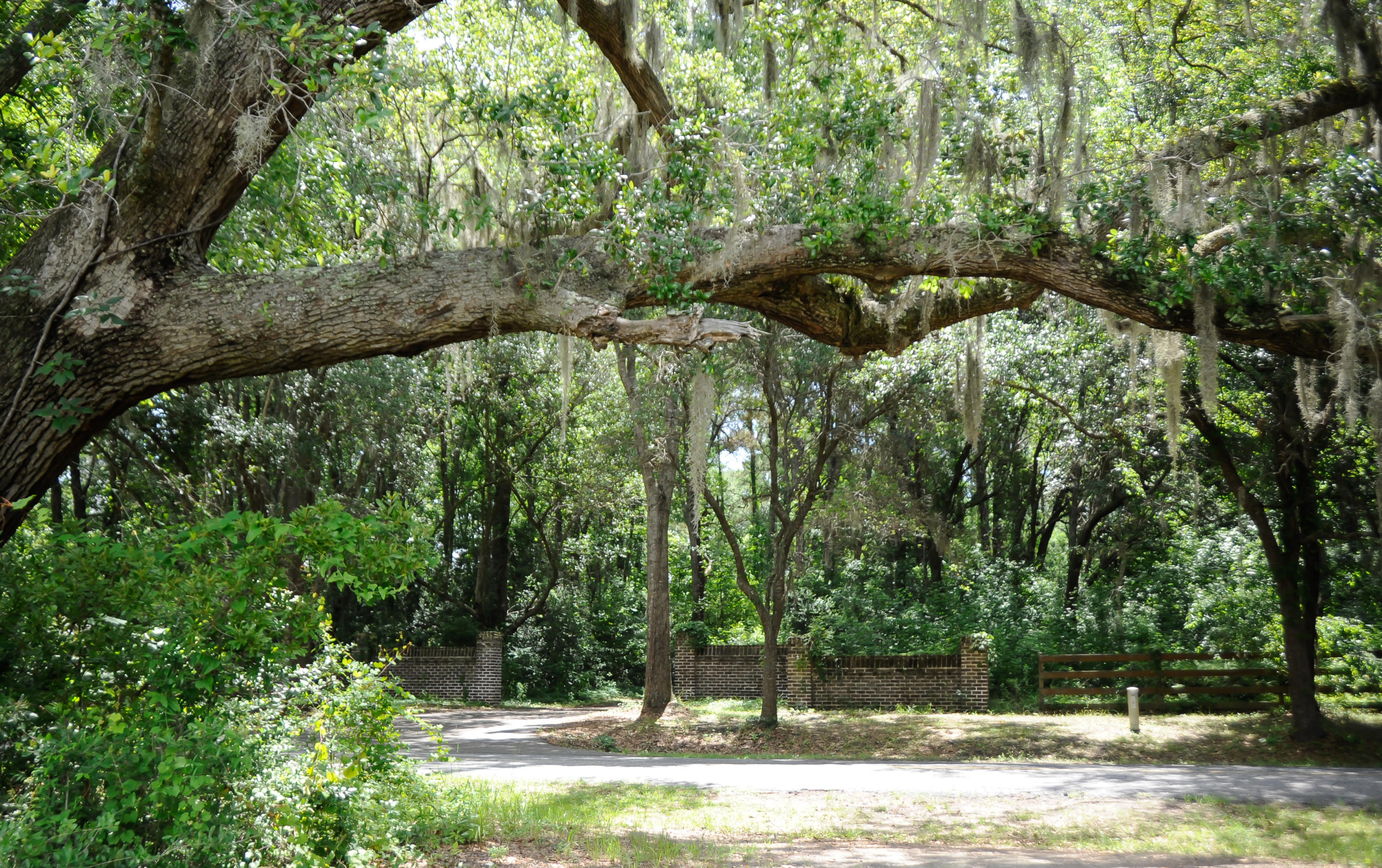 1408 Chandler Road, Unit LOT 1 Awendaw, SC 29429 - Photo 13 of 46 Wooden fence in place