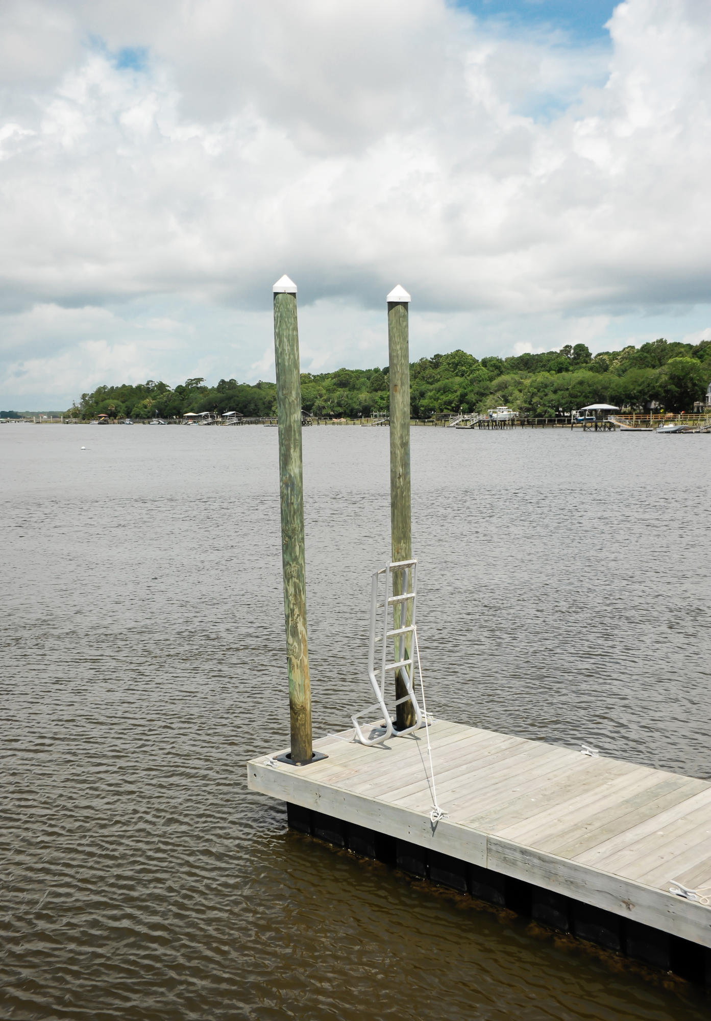 1408 Chandler Road, Unit LOT 1 Awendaw, SC 29429 - Photo 25 of 46 Large Floating Dock
