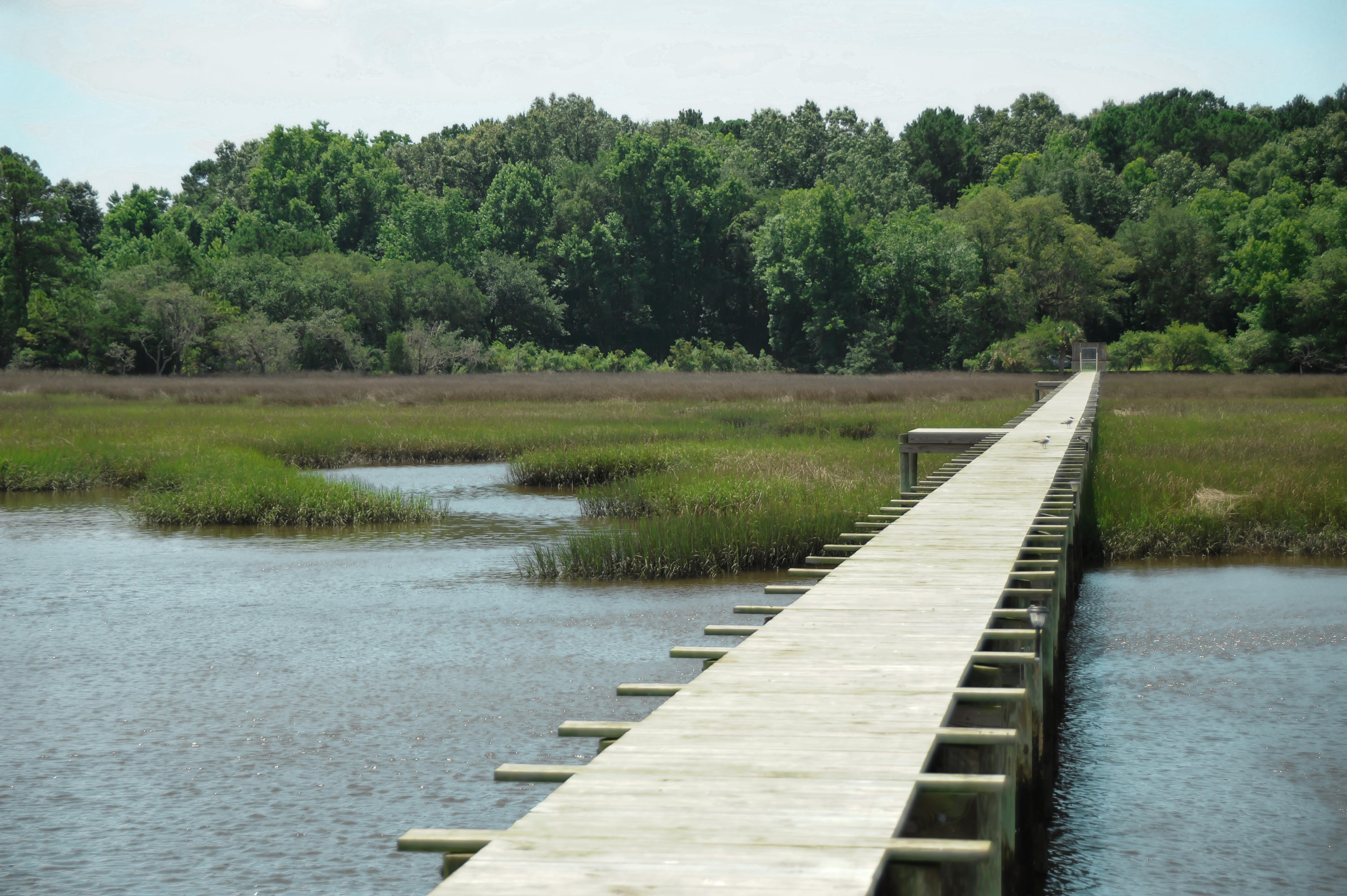 1408 Chandler Road, Unit LOT 1 Awendaw, SC 29429 - Photo 36 of 46 1408 Chandler Road