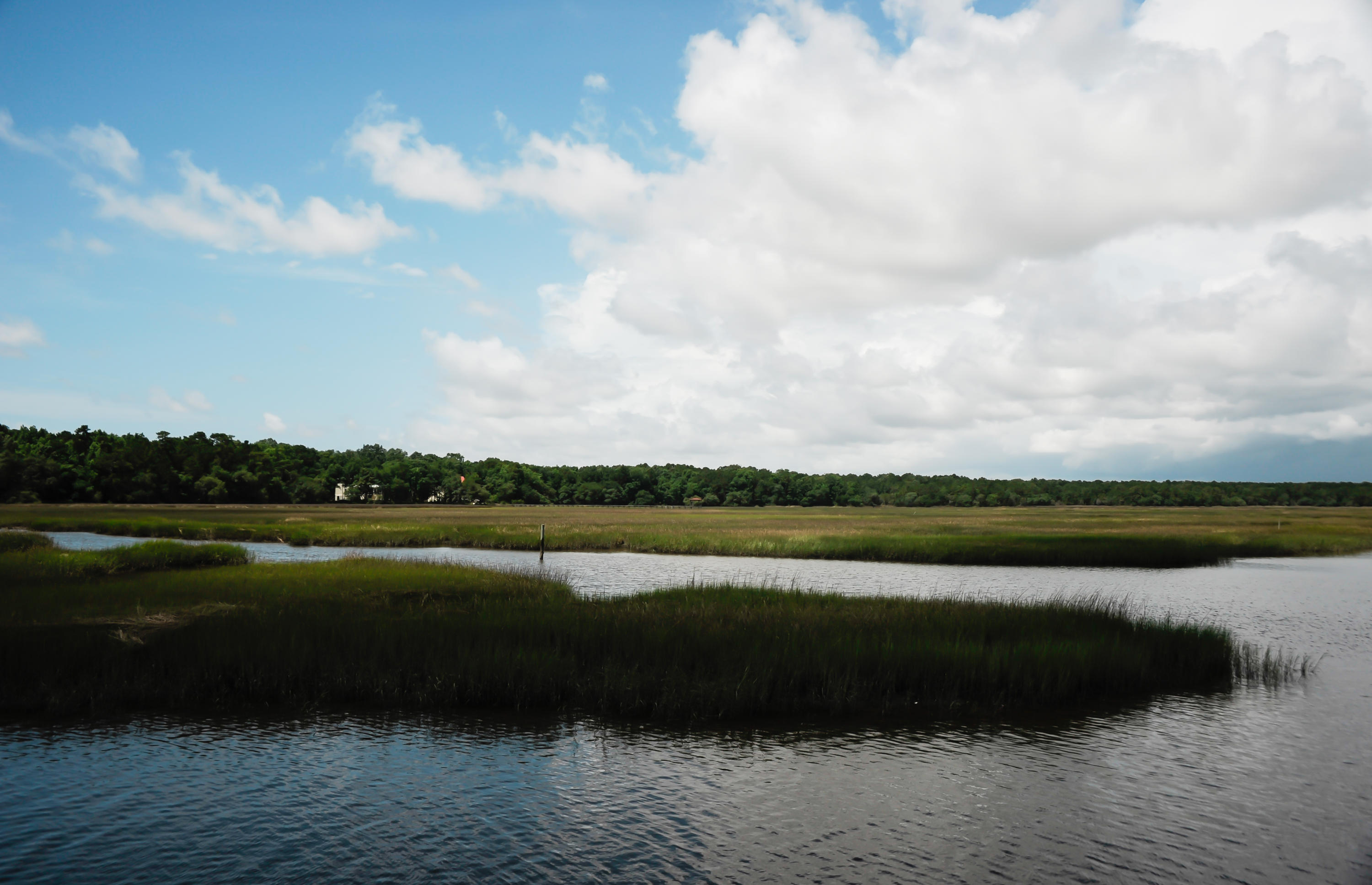 1408 Chandler Road, Unit LOT 1 Awendaw, SC 29429 - Photo 37 of 46 Marsh Views