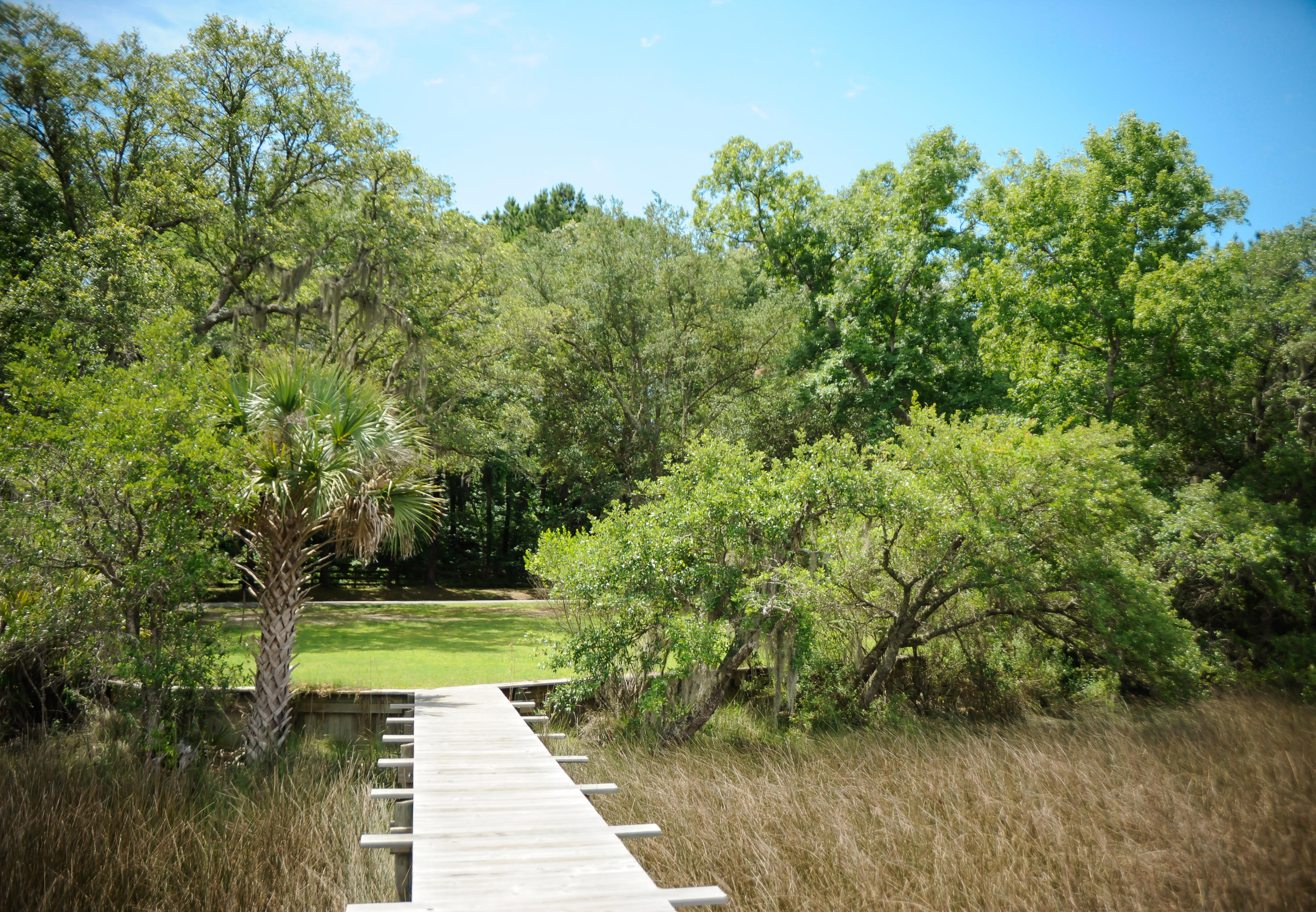 1408 Chandler Road, Unit LOT 1 Awendaw, SC 29429 - Photo 38 of 46 1408 Chandler Road
