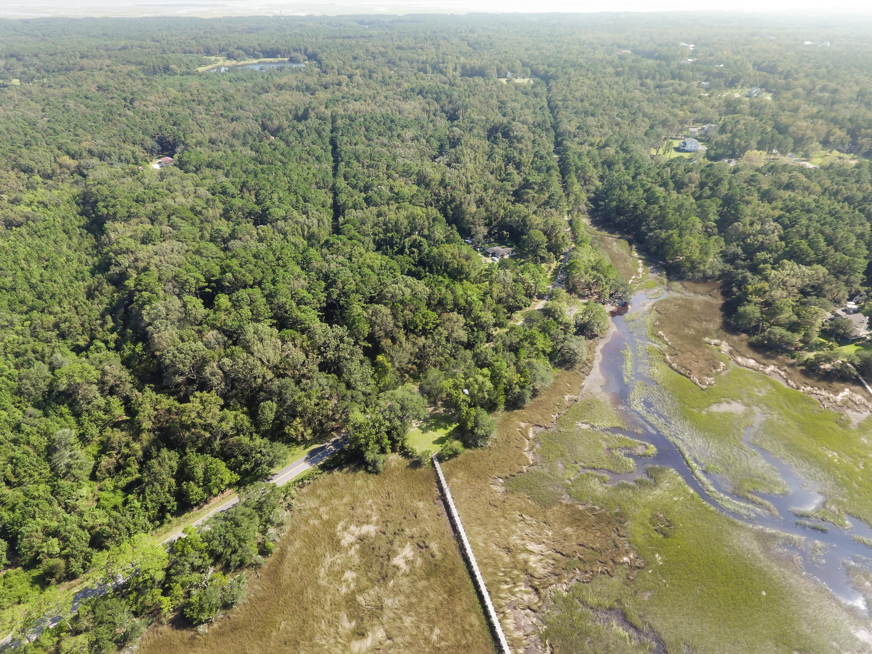 1408 Chandler Road, Unit LOT 1 Awendaw, SC 29429 - Photo 41 of 46 DJI_0167(1)
