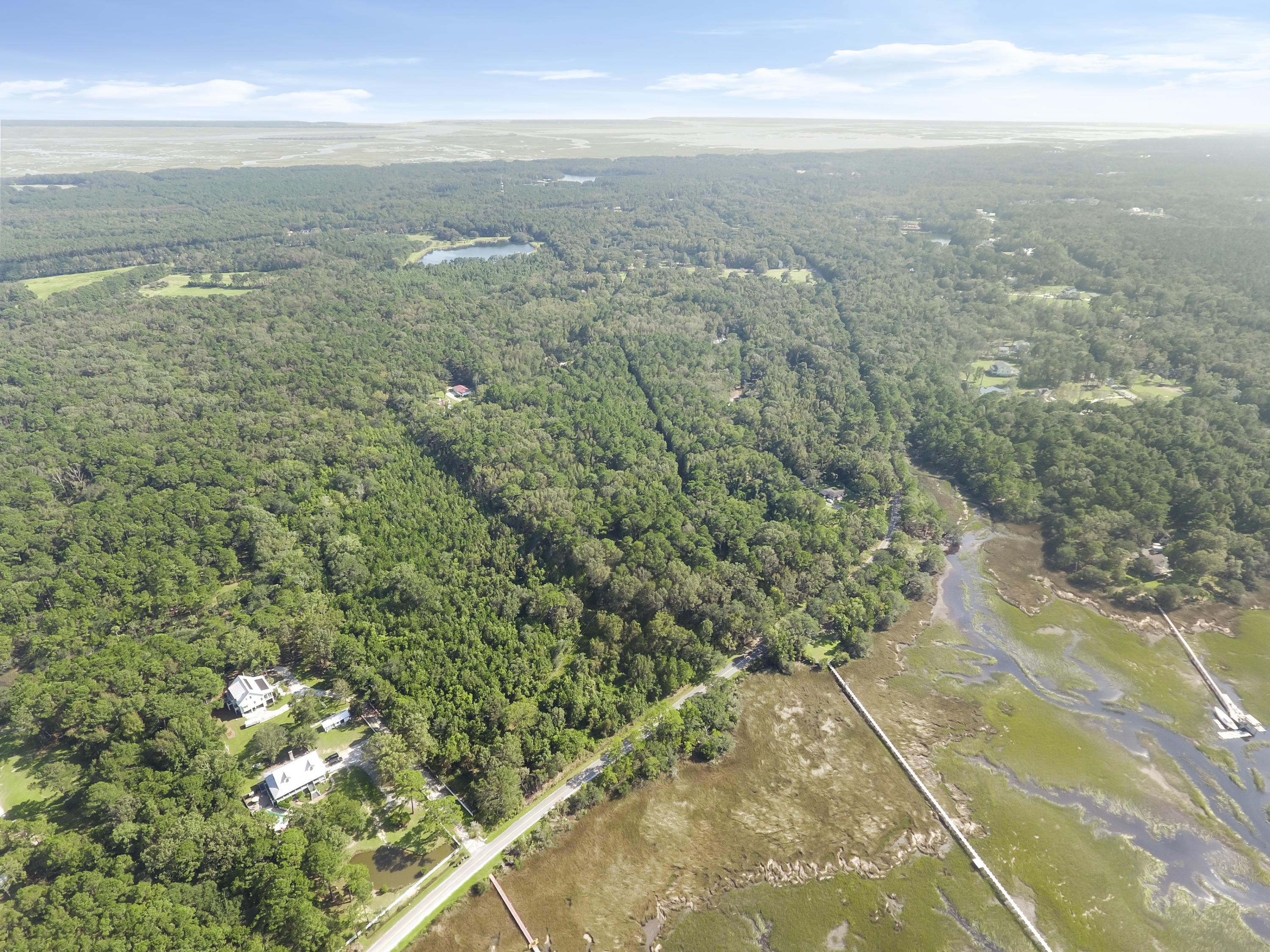 1408 Chandler Road, Unit LOT 1 Awendaw, SC 29429 - Photo 44 of 46 DJI_0178(1)