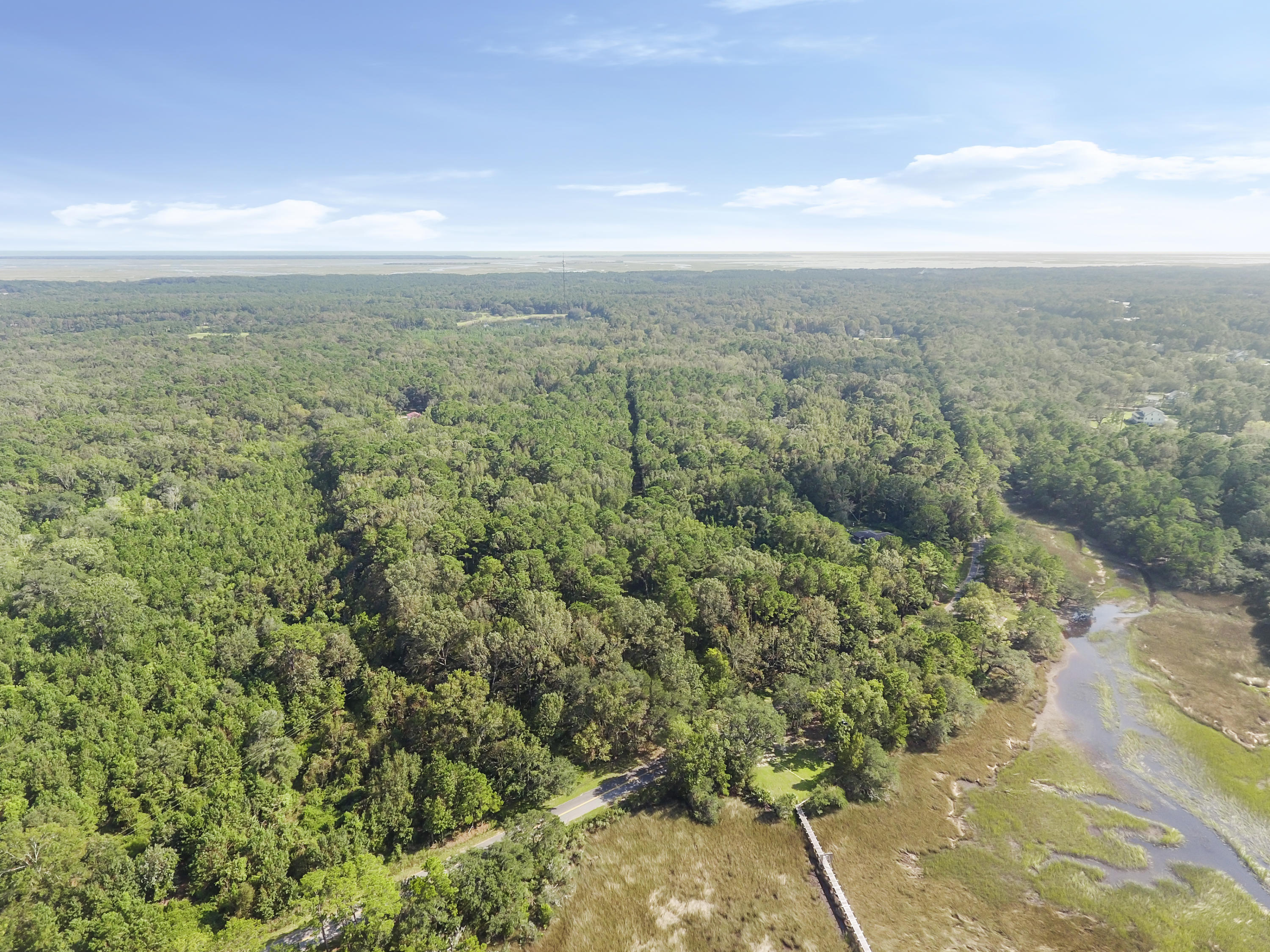 1408 Chandler Road, Unit LOT 1 Awendaw, SC 29429 - Photo 46 of 46 DJI_0191(1)