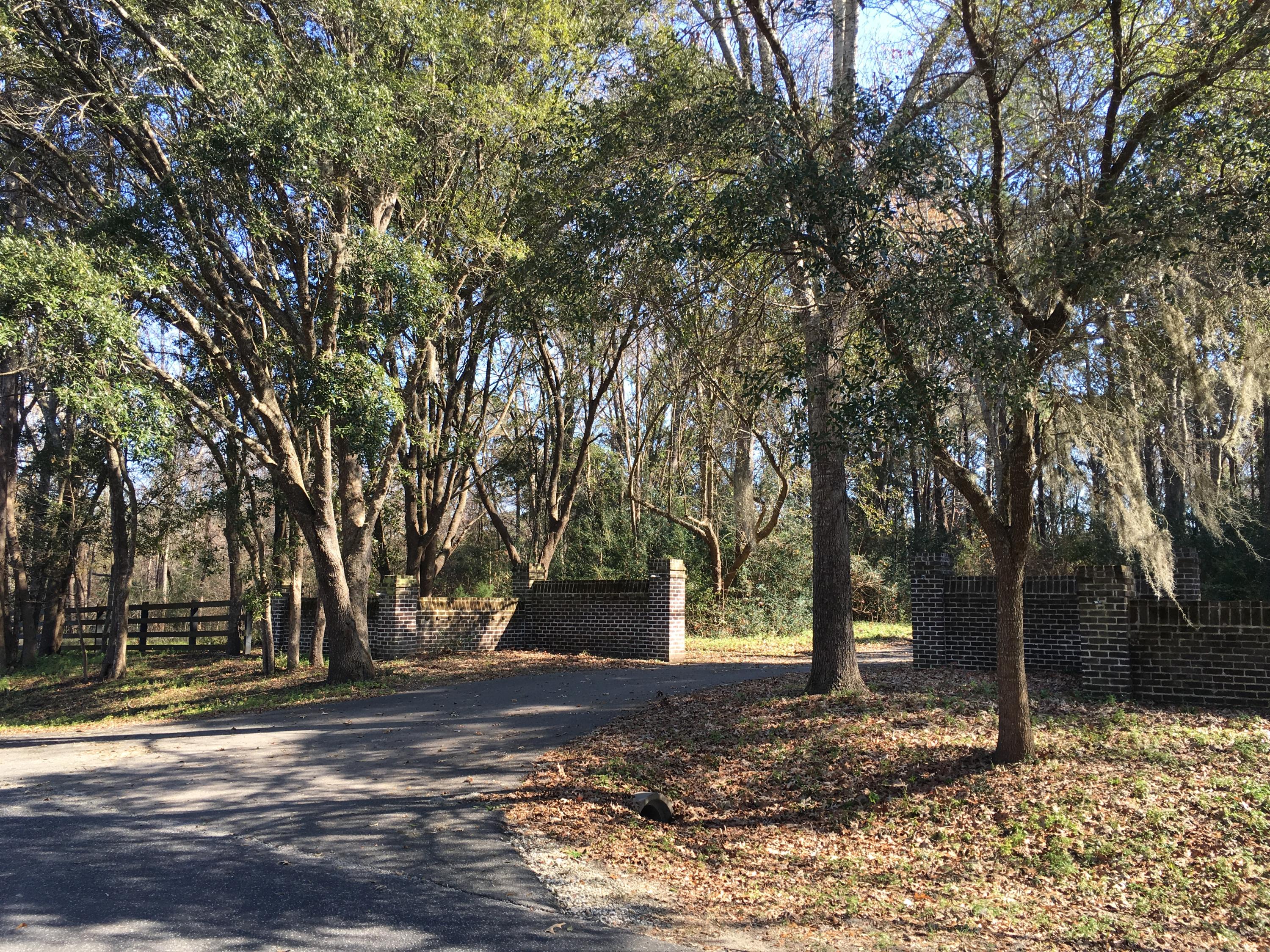 1408 Chandler Road, Unit LOT 1 Awendaw, SC 29429 - Photo 8 of 46 Come build your custom home!