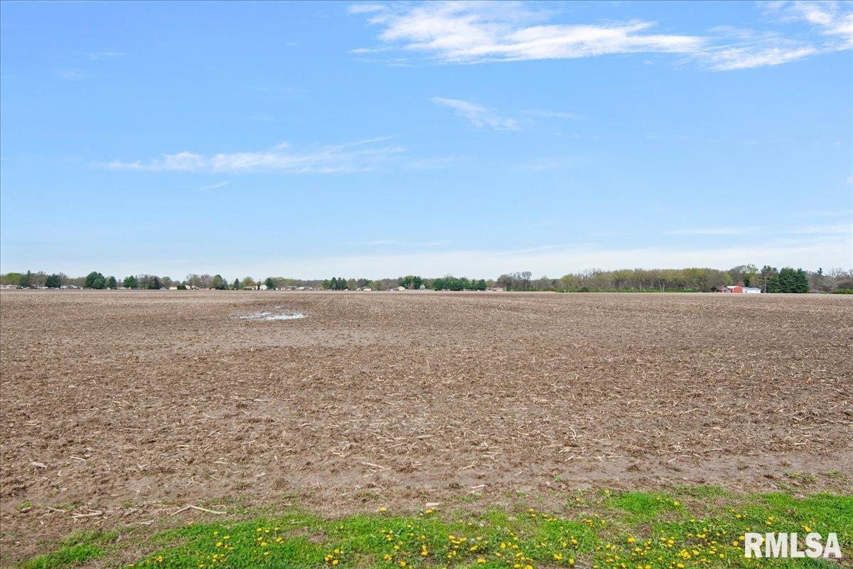 265 Etherton Lane Springfield, IL 62712 - Photo 48 of 49