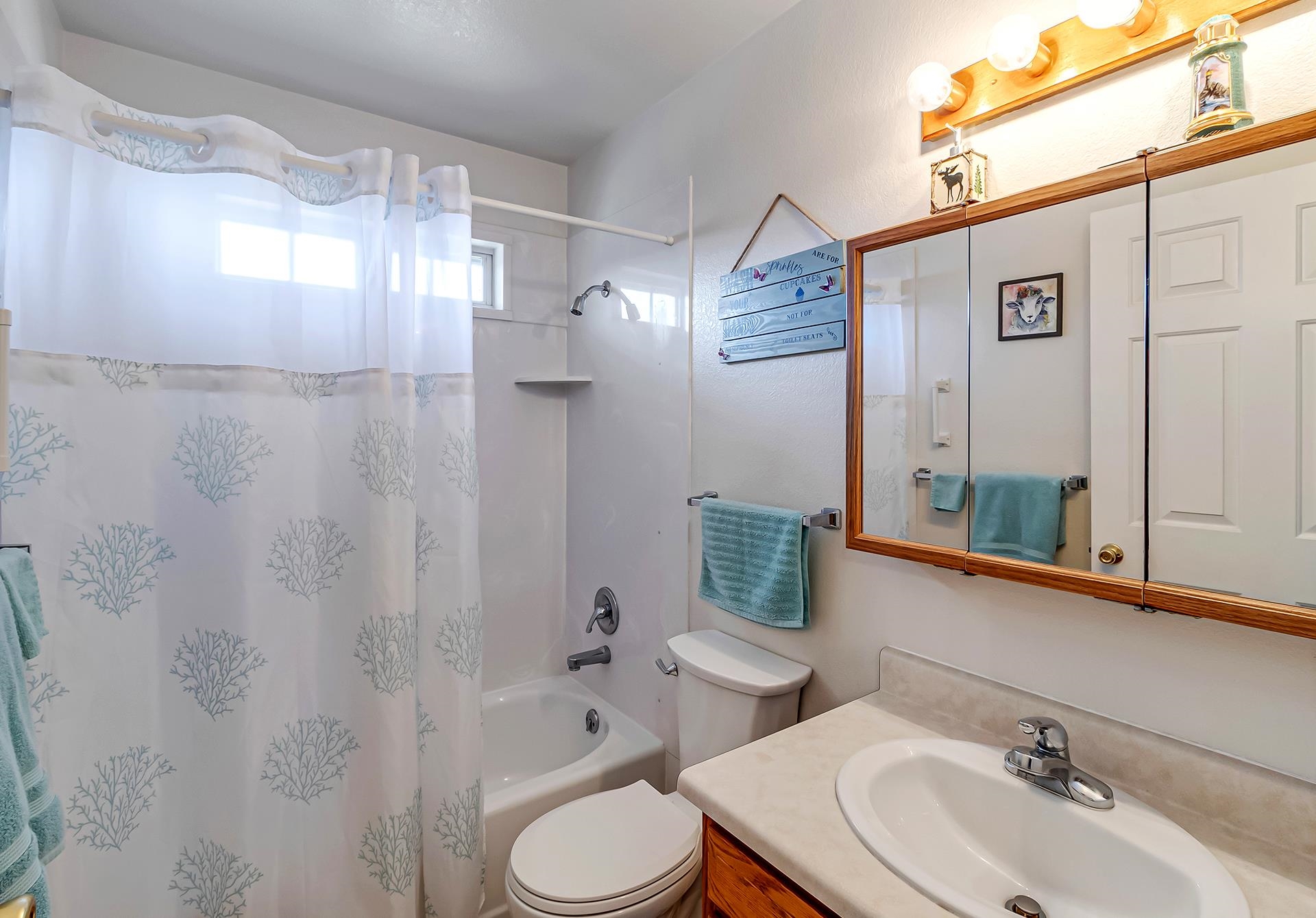 110 Sunset Drive Fruita, CO 81521 - Photo 25 of 39 a bathroom with a sink a toilet and shower