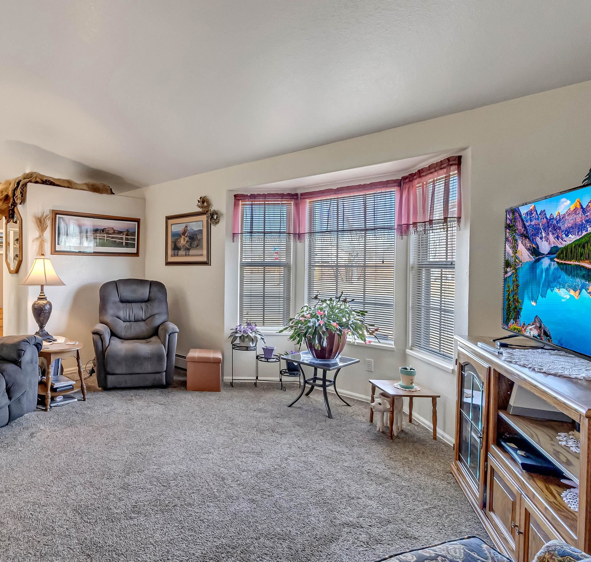 110 Sunset Drive Fruita, CO 81521 - Photo 8 of 39 a living room with furniture and a flat screen tv