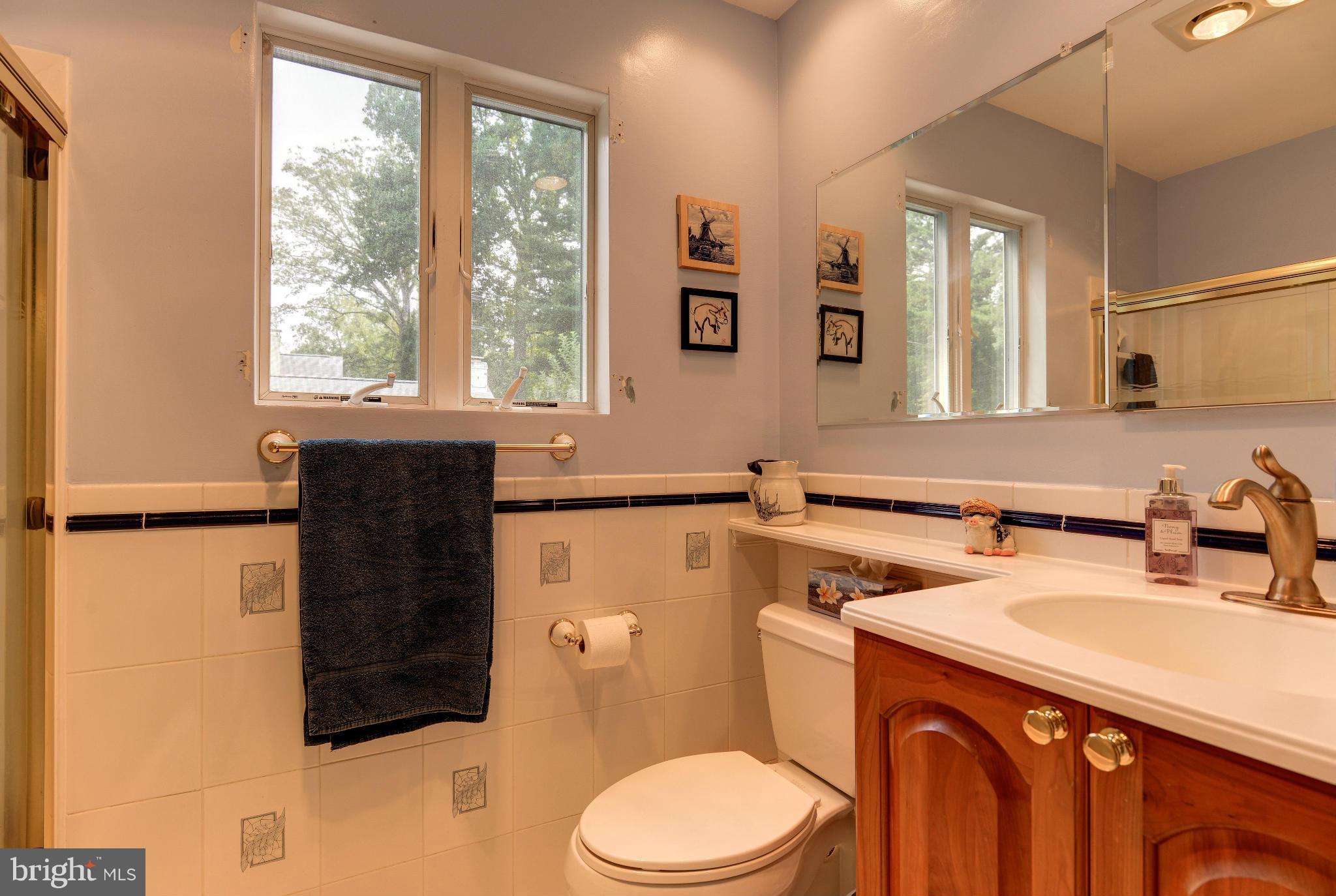 7522 Havelock Street Springfield, VA 22150 - Photo 17 of 30 a bathroom with a sink a toilet and a mirror