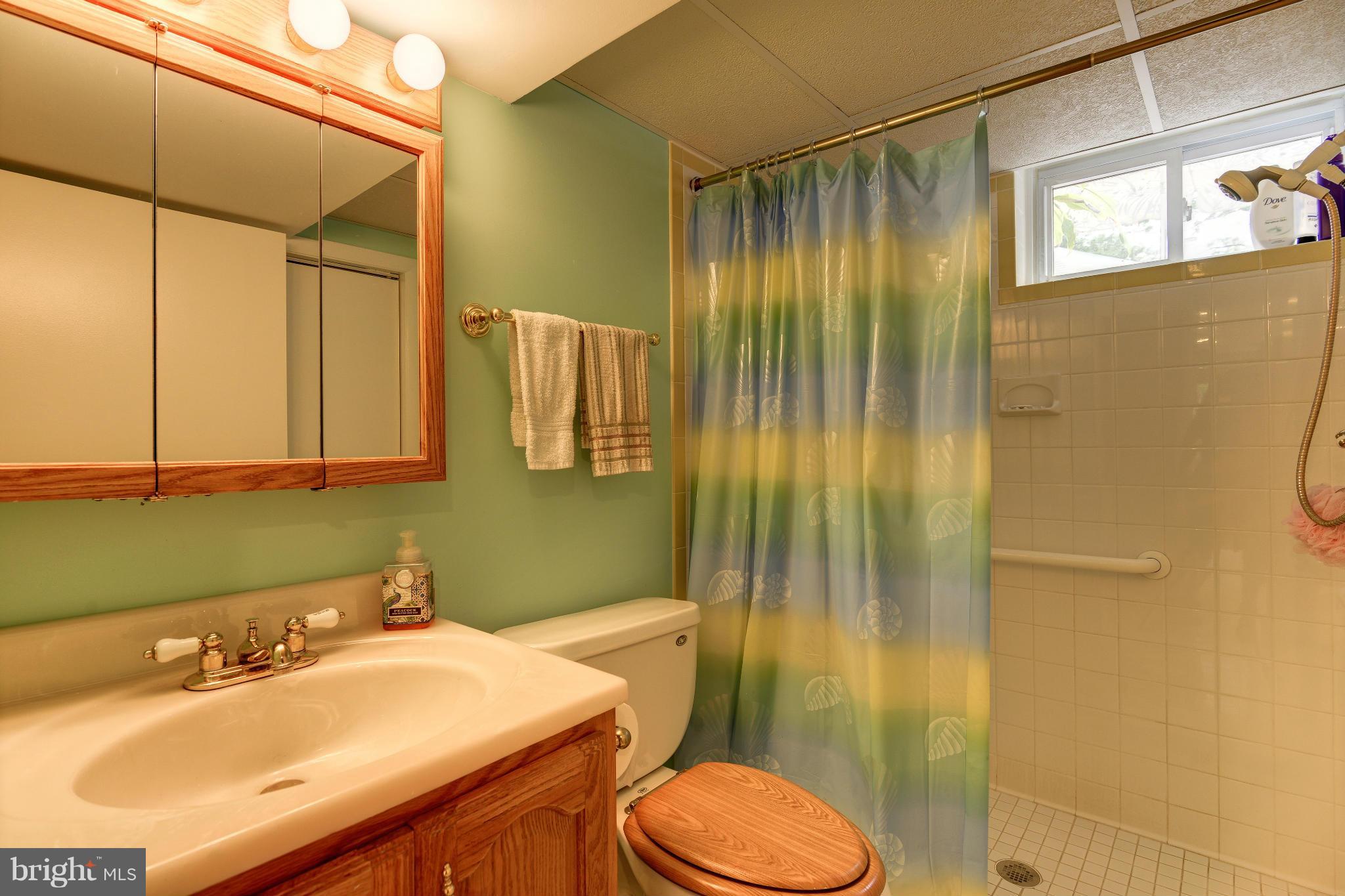 7522 Havelock Street Springfield, VA 22150 - Photo 21 of 30 a bathroom with a sink toilet and shower