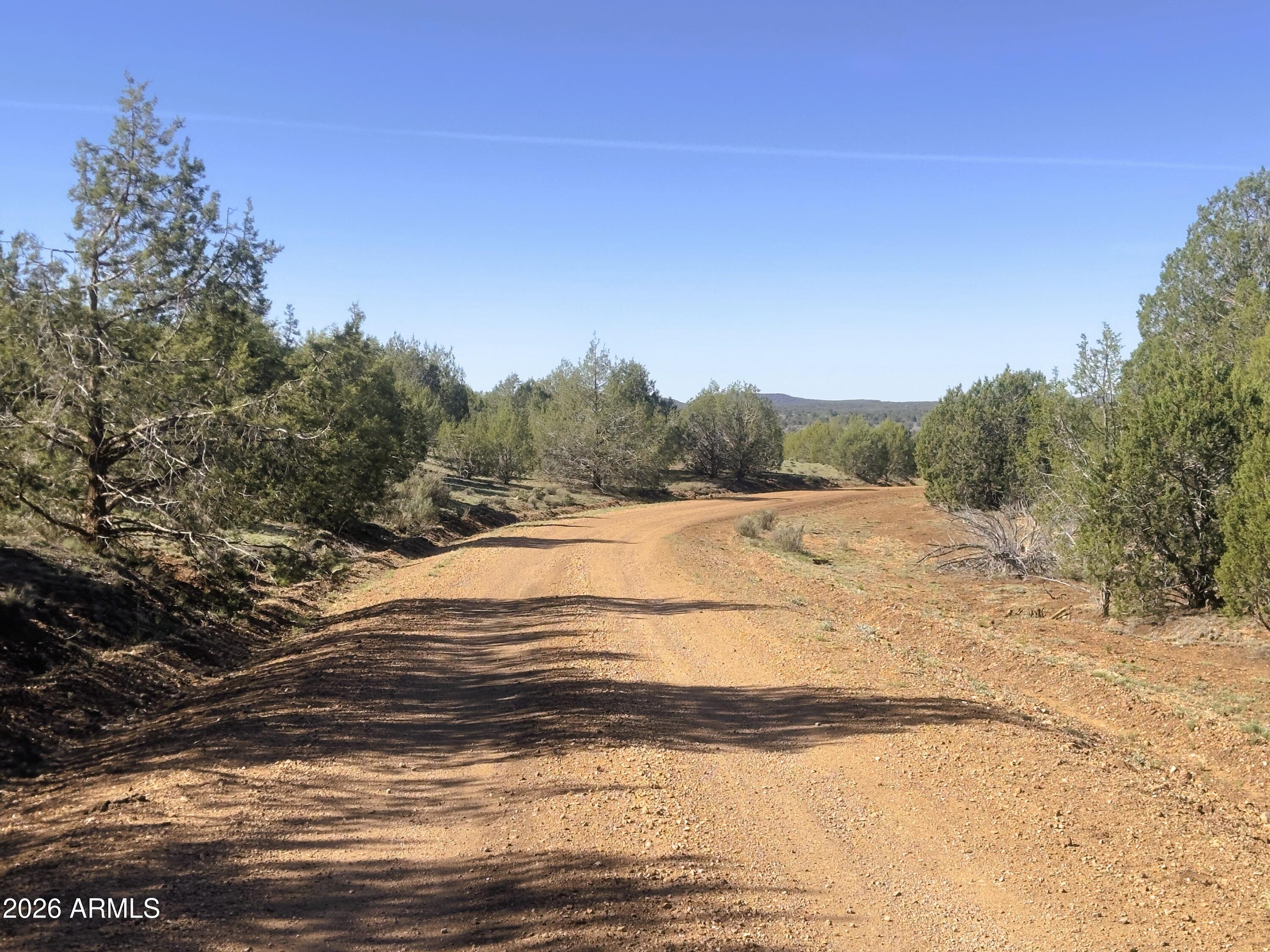 15723 High Tank Road Williams, AZ 86046 - Photo 4 of 18 a view of a dry yard with large trees