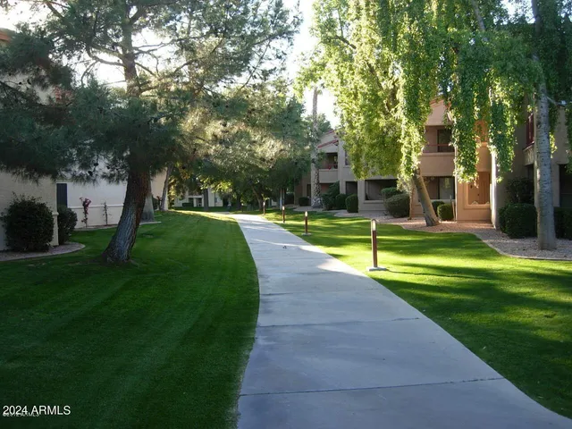 a view of a park with plants and trees
