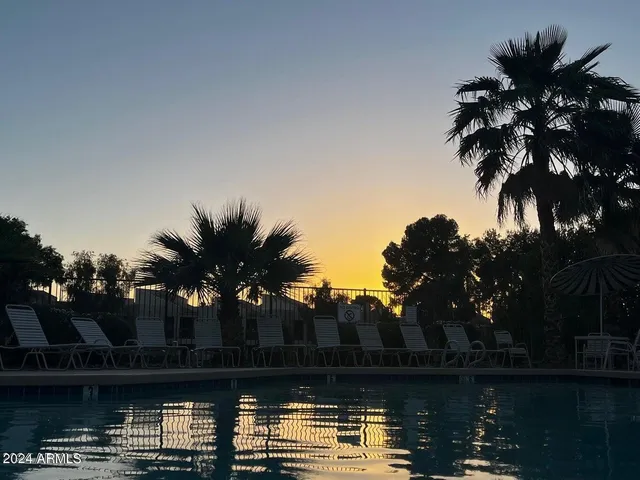 a lake view with palm trees