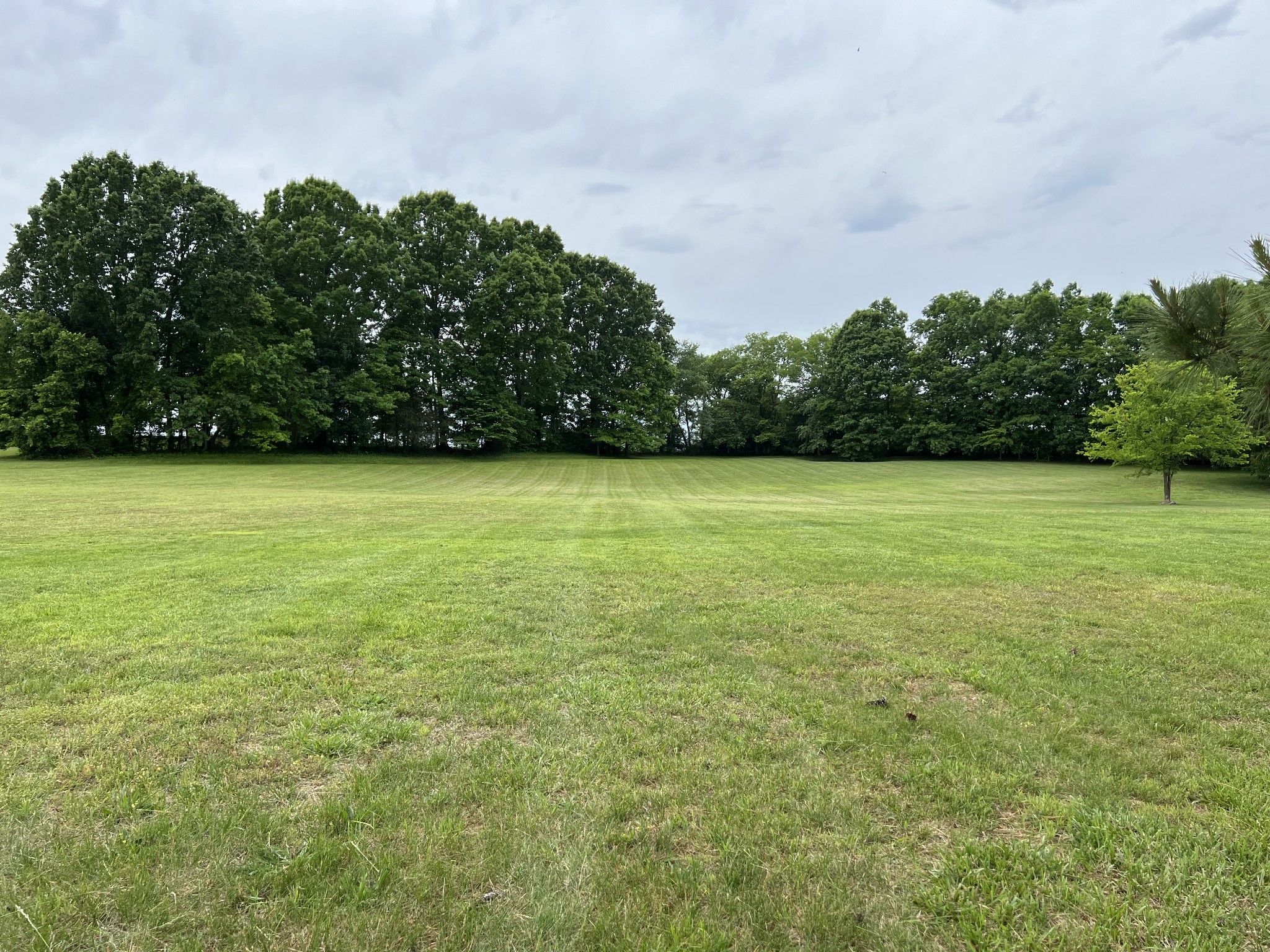 990 Bugscuffle Road Wartrace, TN 37183 - Photo 85 of 91