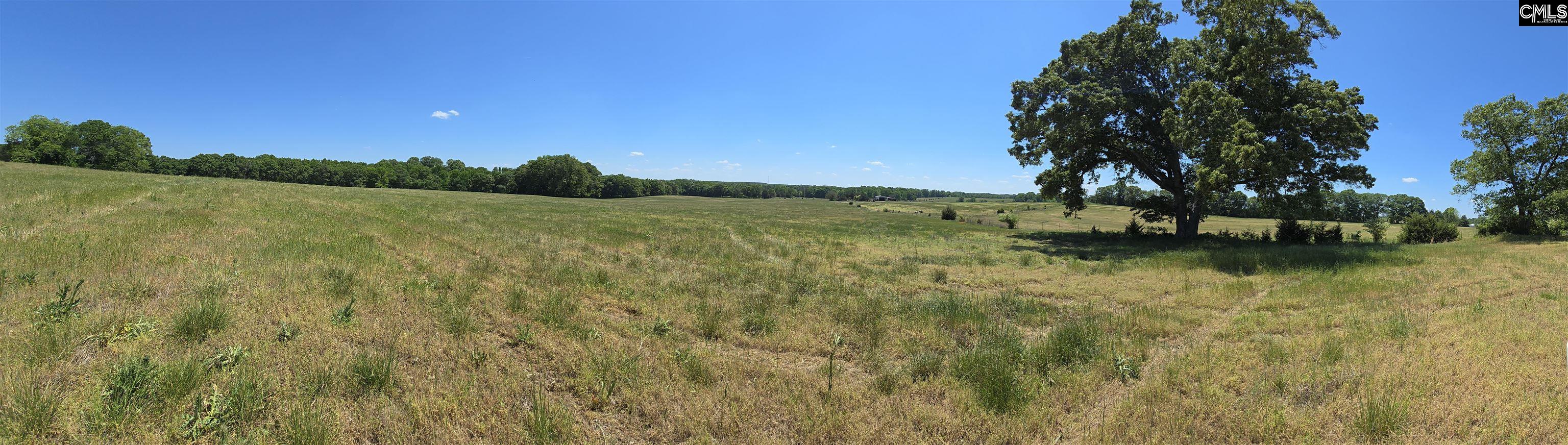 542 Pea Ridge Highway Jonesville, SC 29353 - Photo 13 of 72
