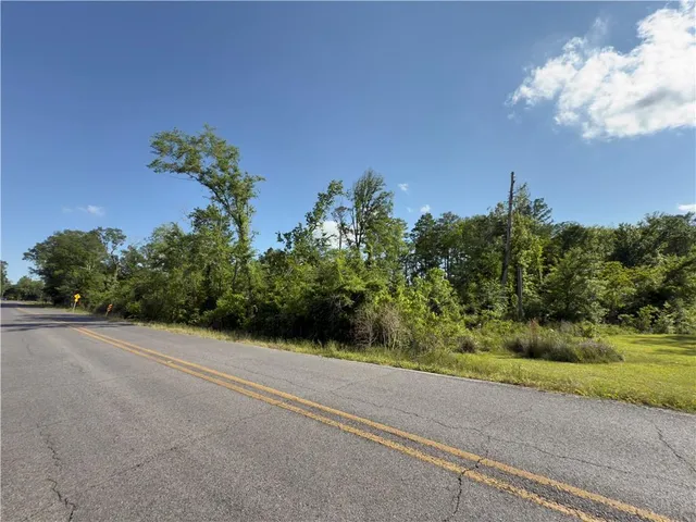 $89,900 | 0 Bear Island Road, Maurepas, LA 70449