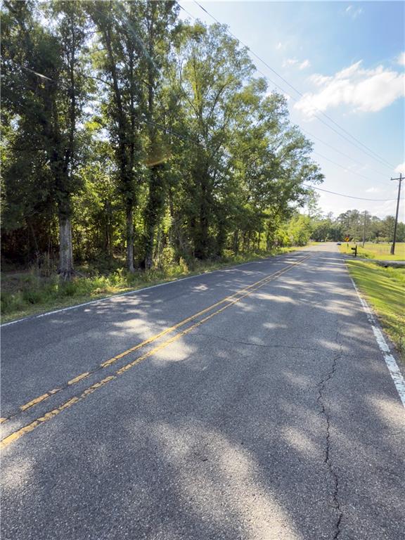 0 Bear Island Road Maurepas, LA 70449 - Photo 5 of 10